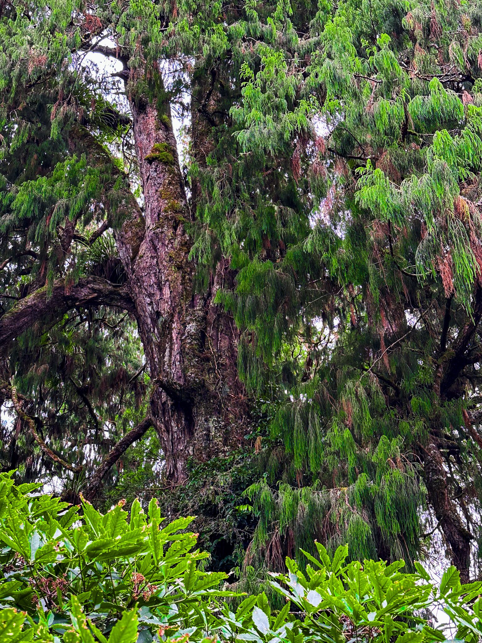 Image 10 of 10