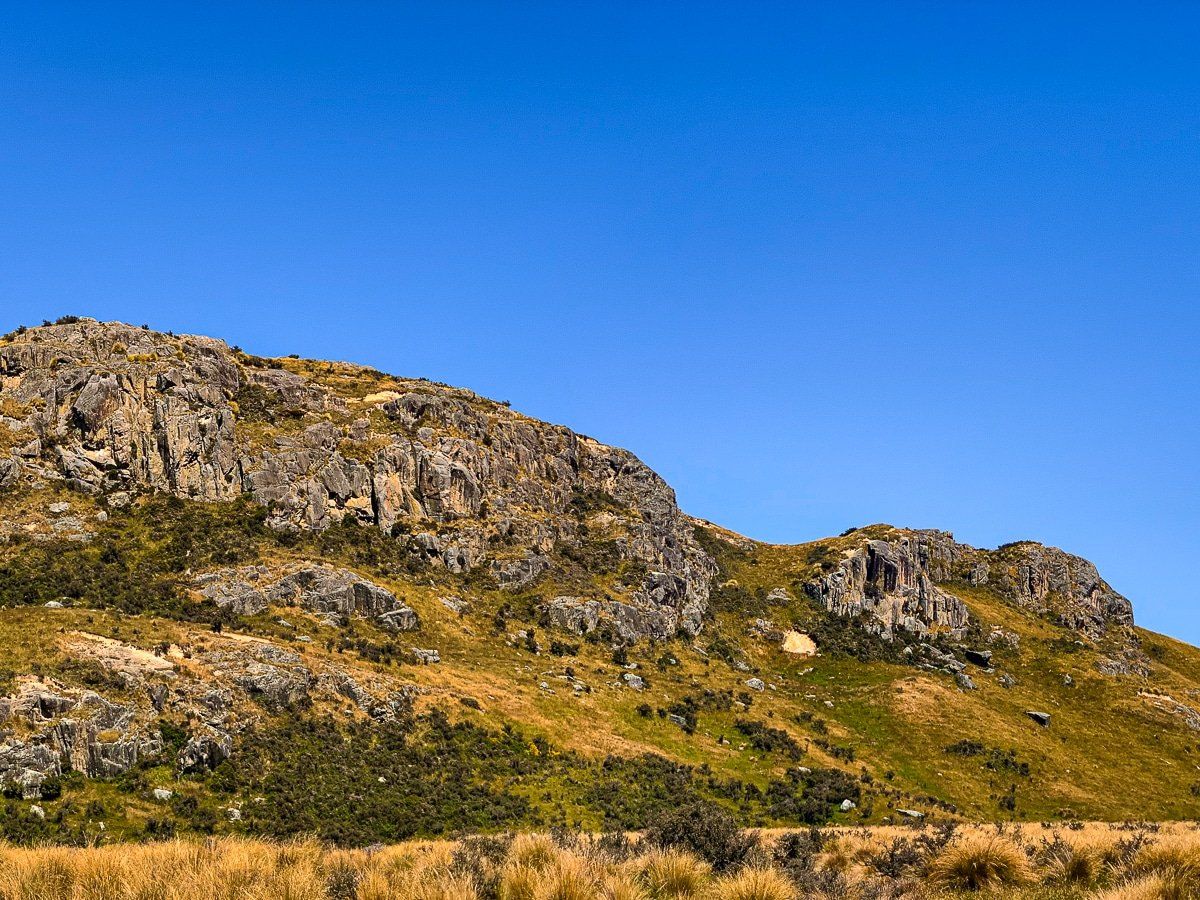 Image 8 of 8