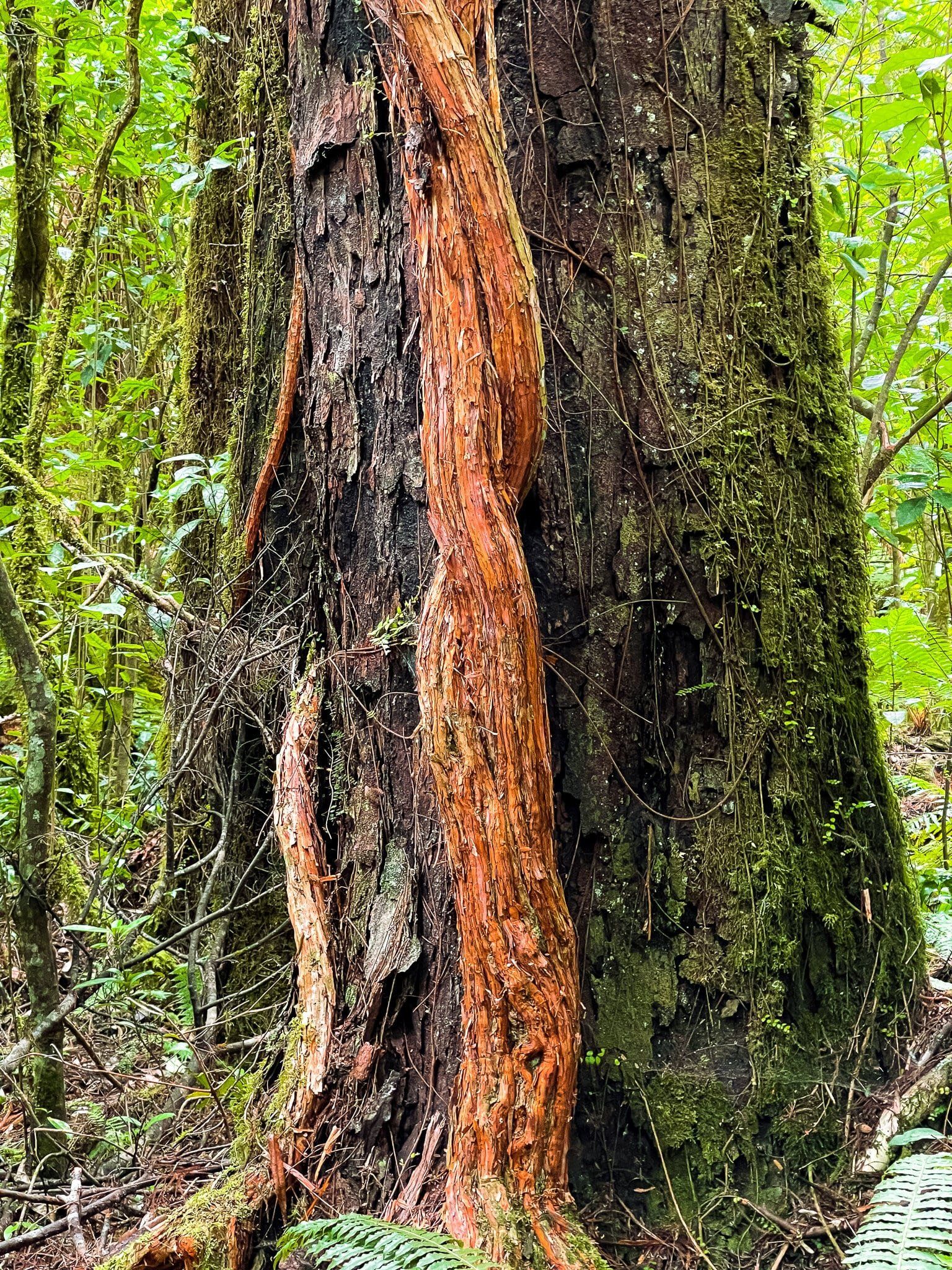 Image 9 of 10