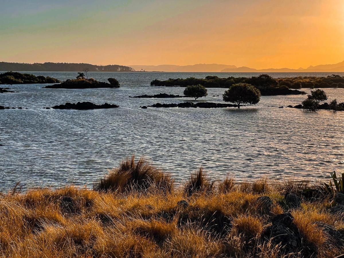 Ambury Regional Park | South Auckland - New Zealand Trip Ideas