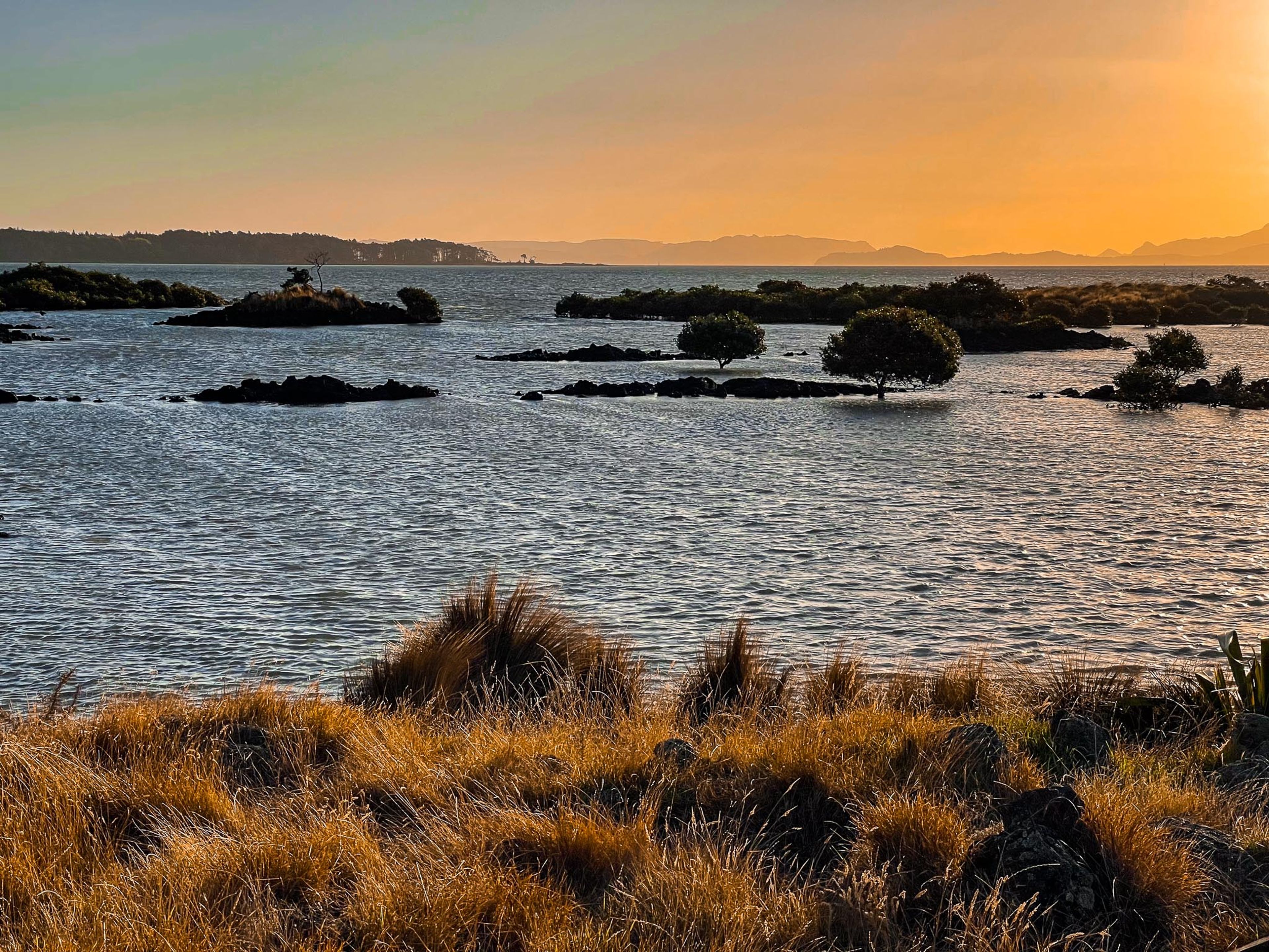 Image 8 of 10