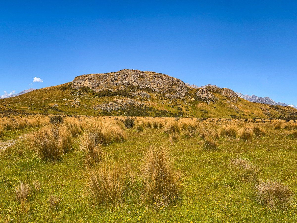 Image 7 of 8