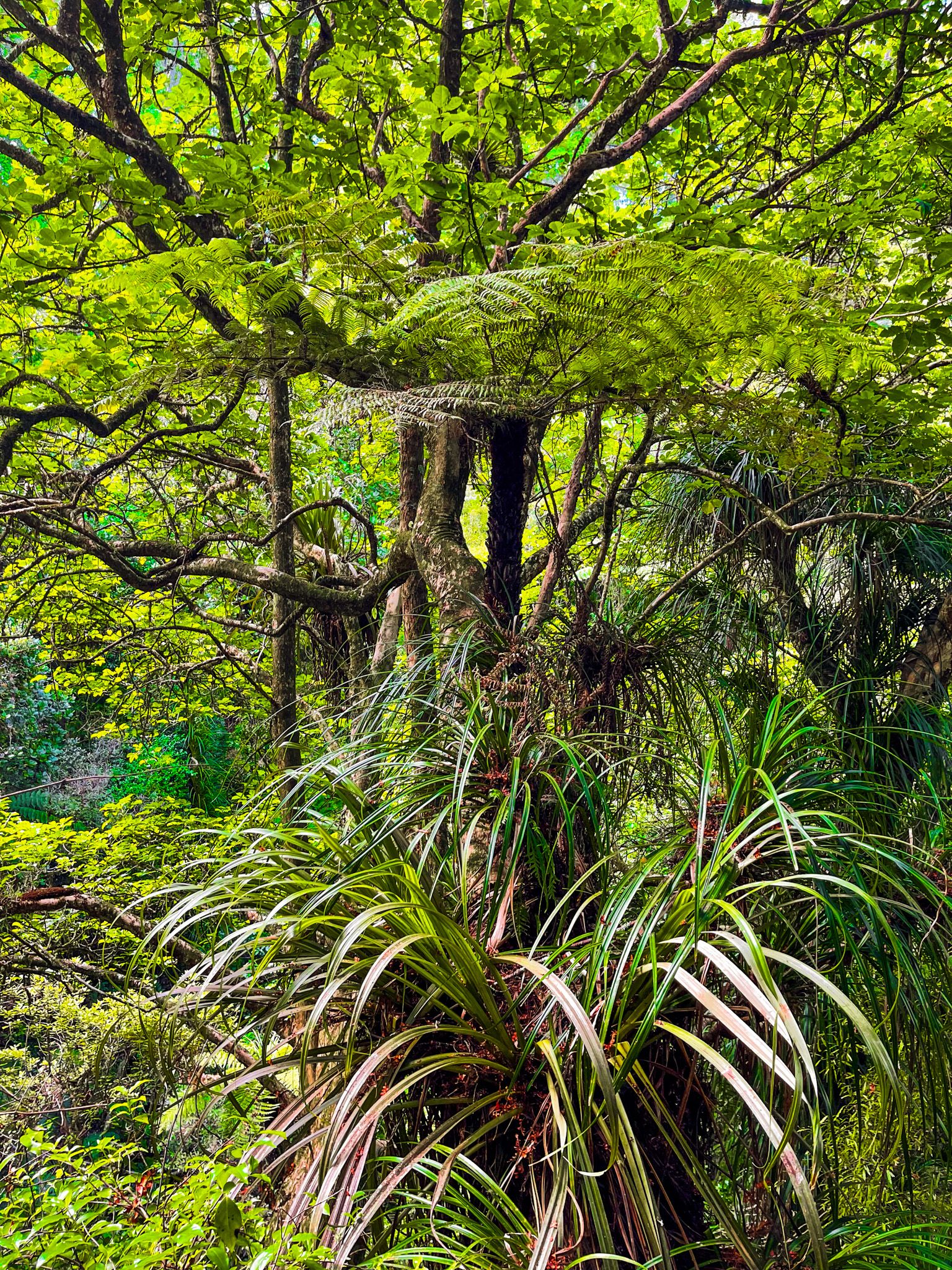 Image 9 of 10
