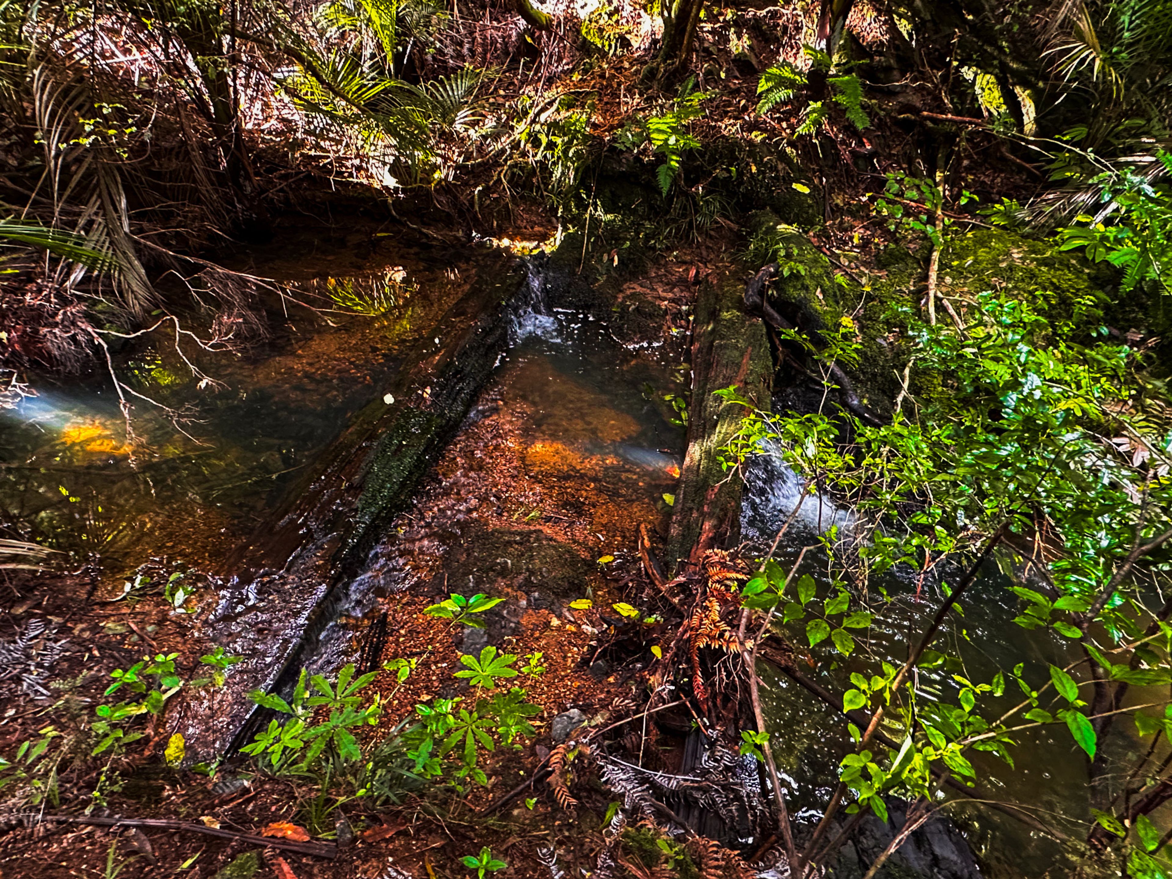 Image 9 of 10