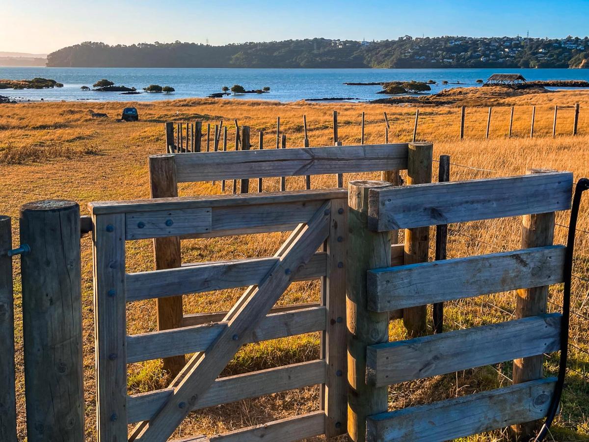 Ambury Regional Park | South Auckland - New Zealand Trip Ideas