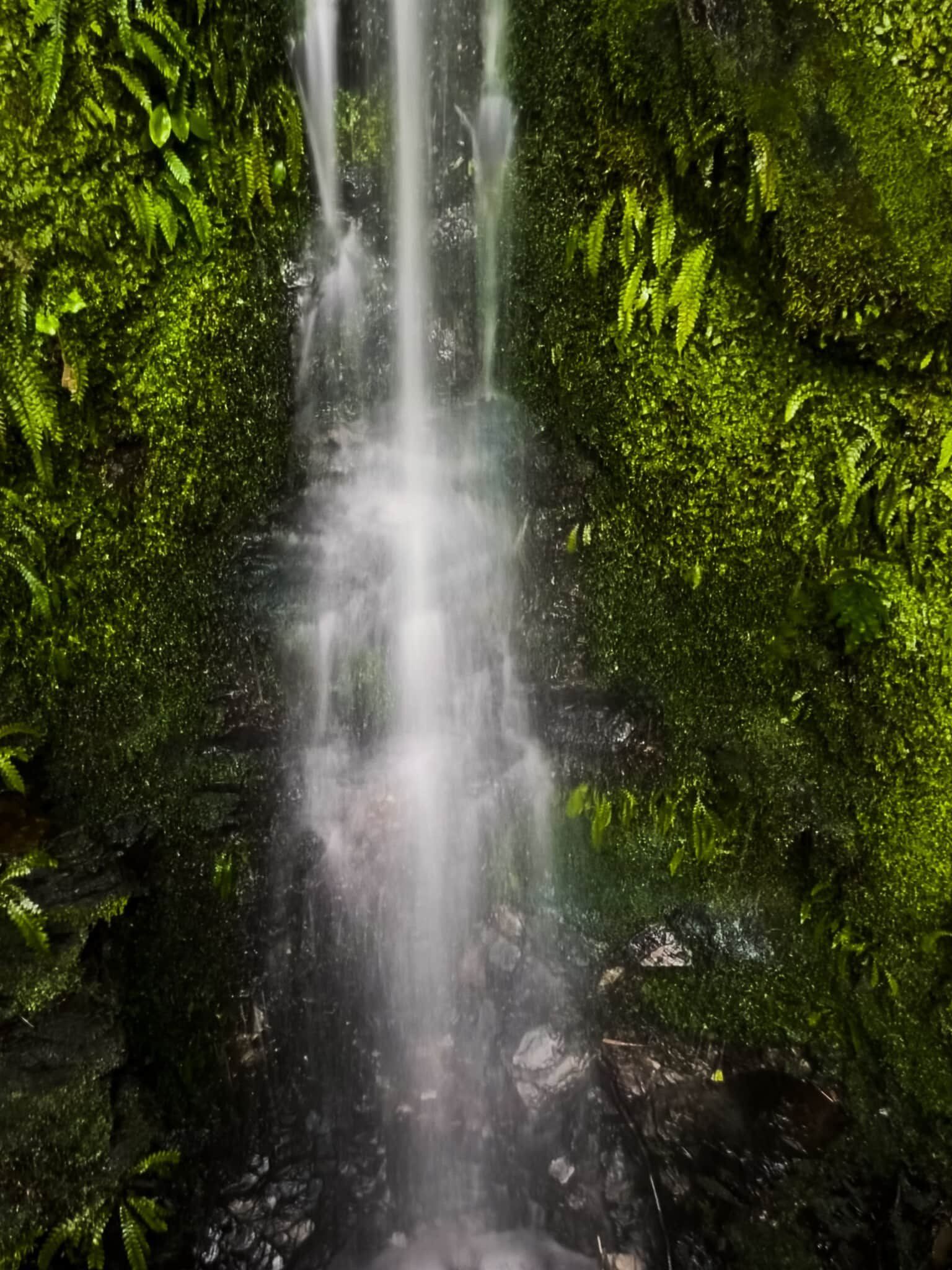 Image 3 of 14
