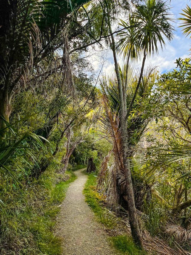 Image 6 of 8