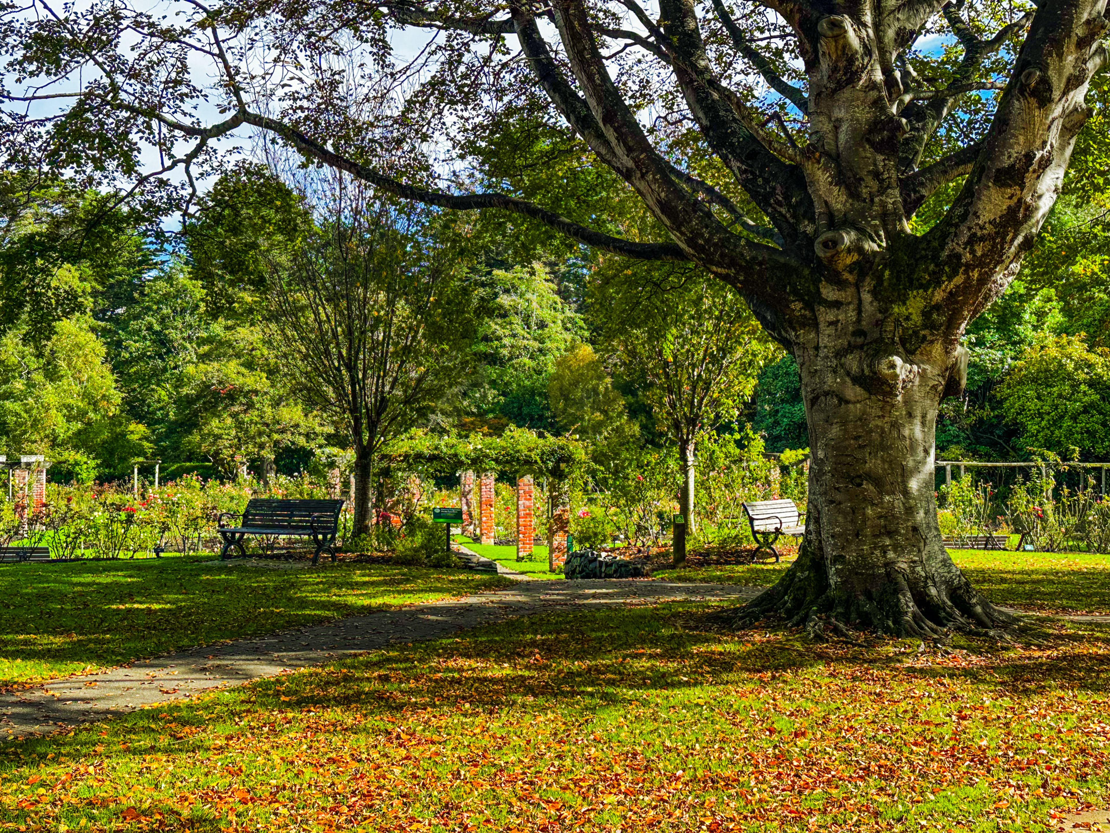 Image 9 of 10