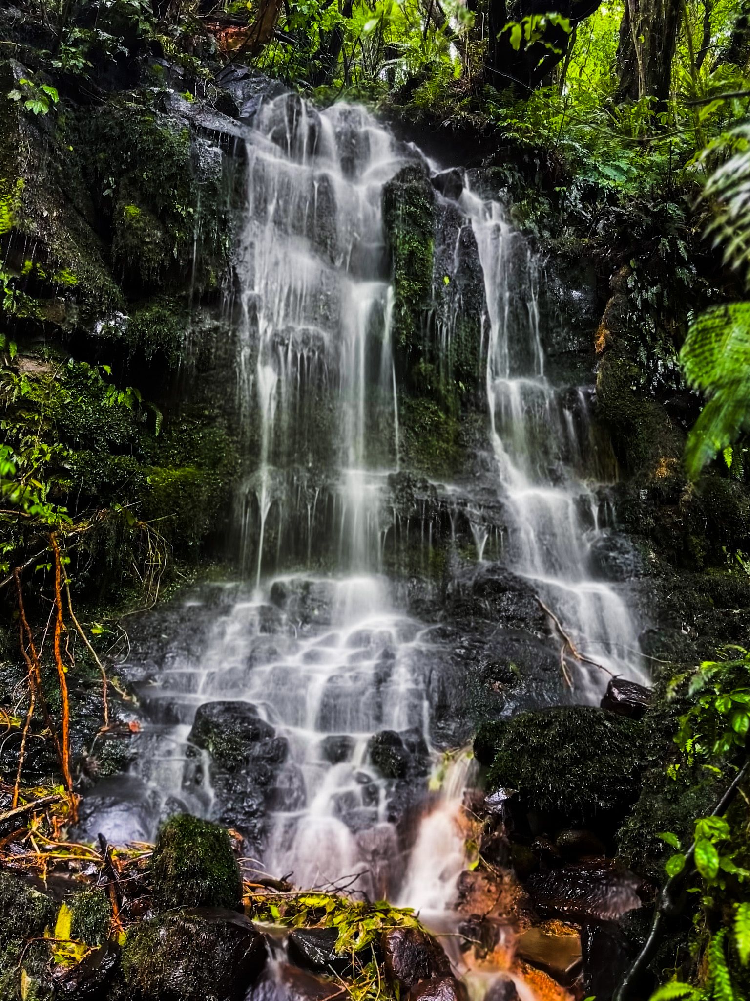 Image 7 of 10