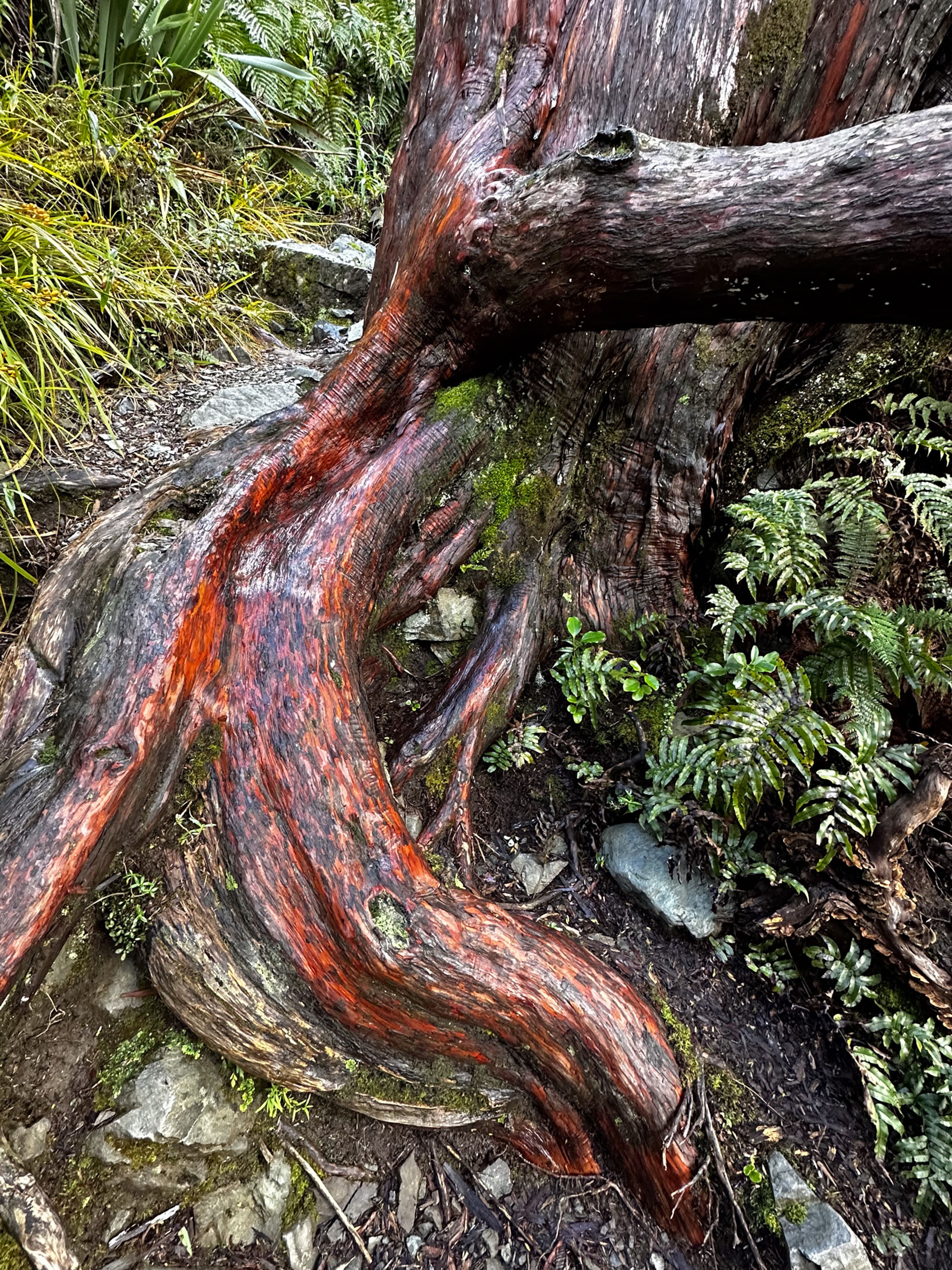 Image 7 of 10