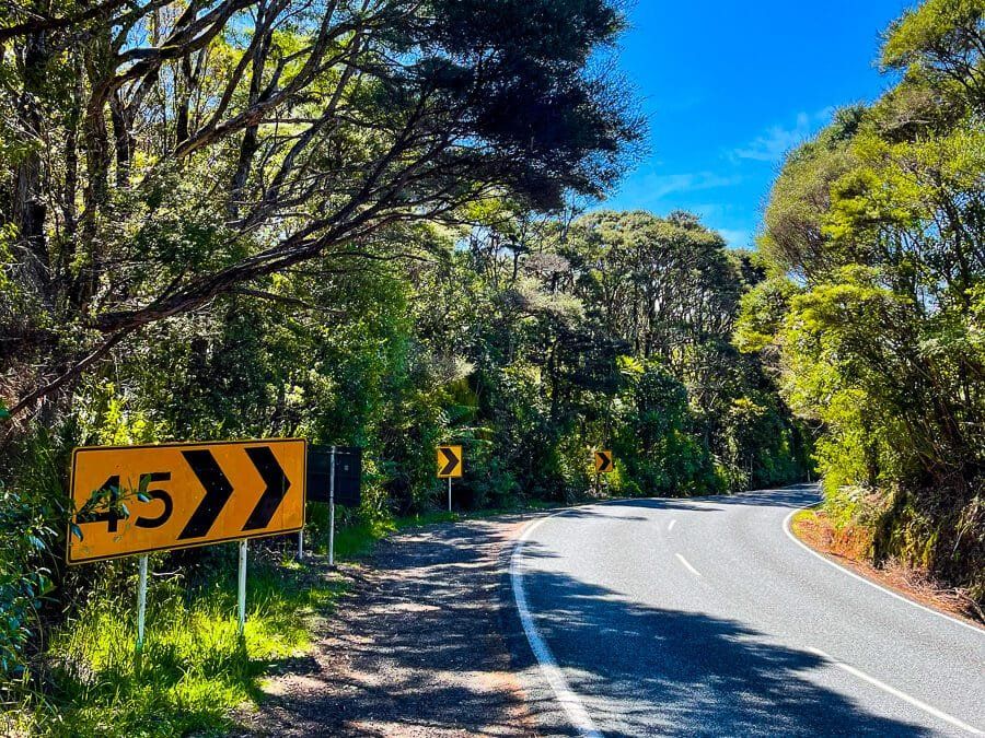 Scenic Drive