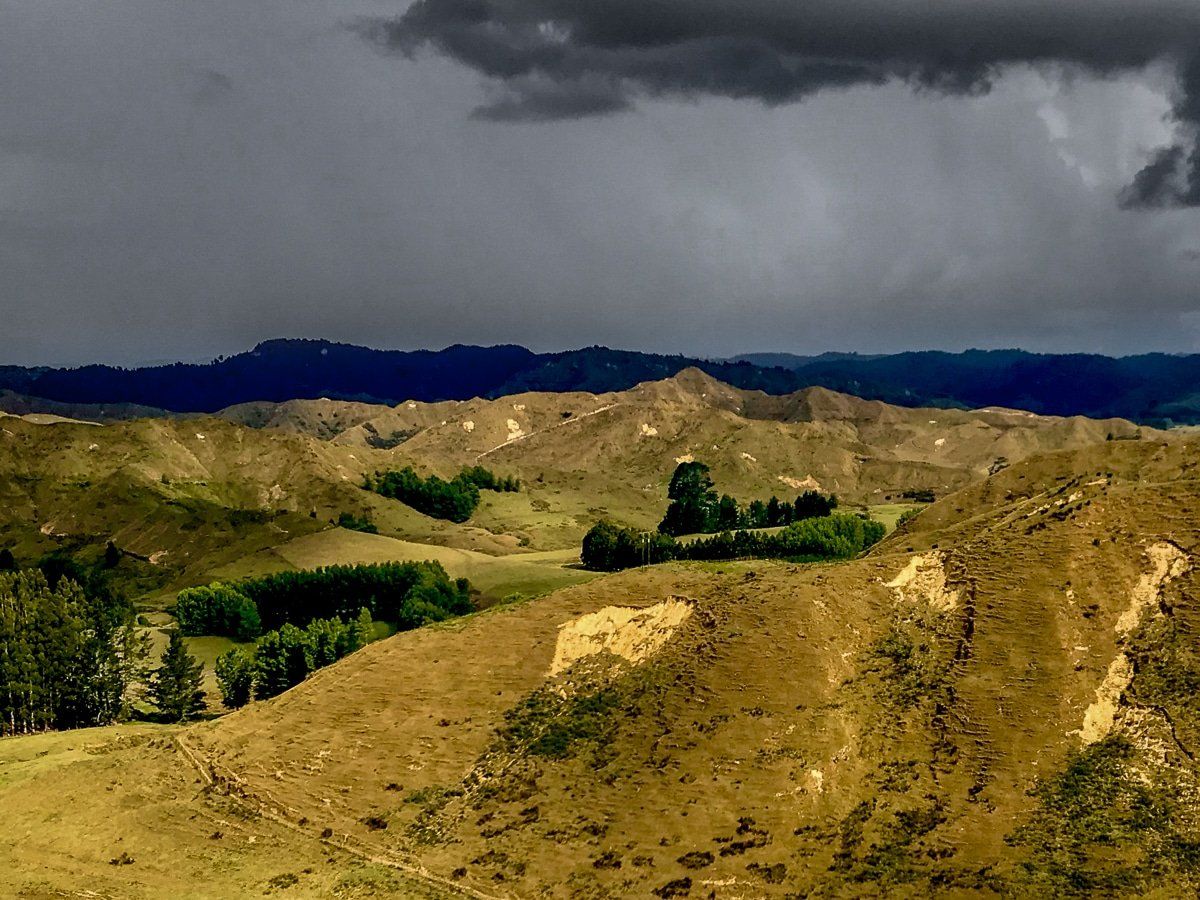 Image 7 of 9