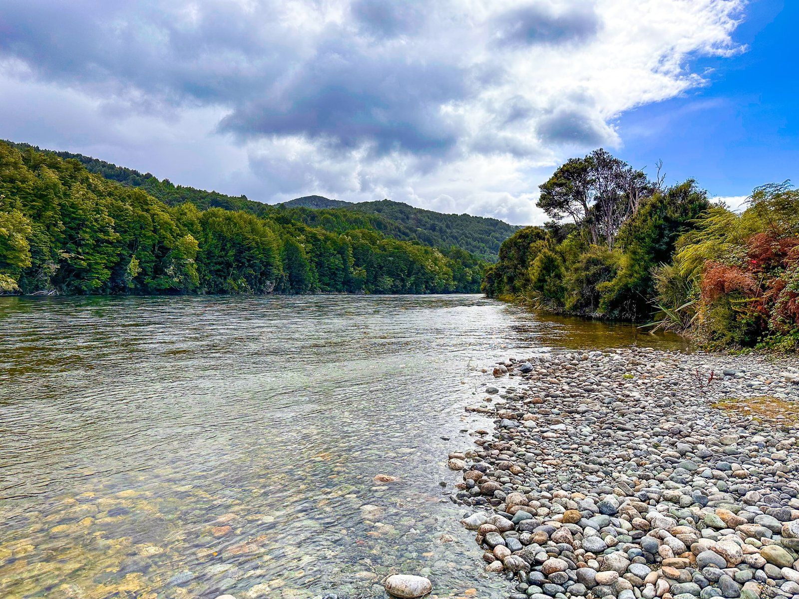 Image 7 of 8