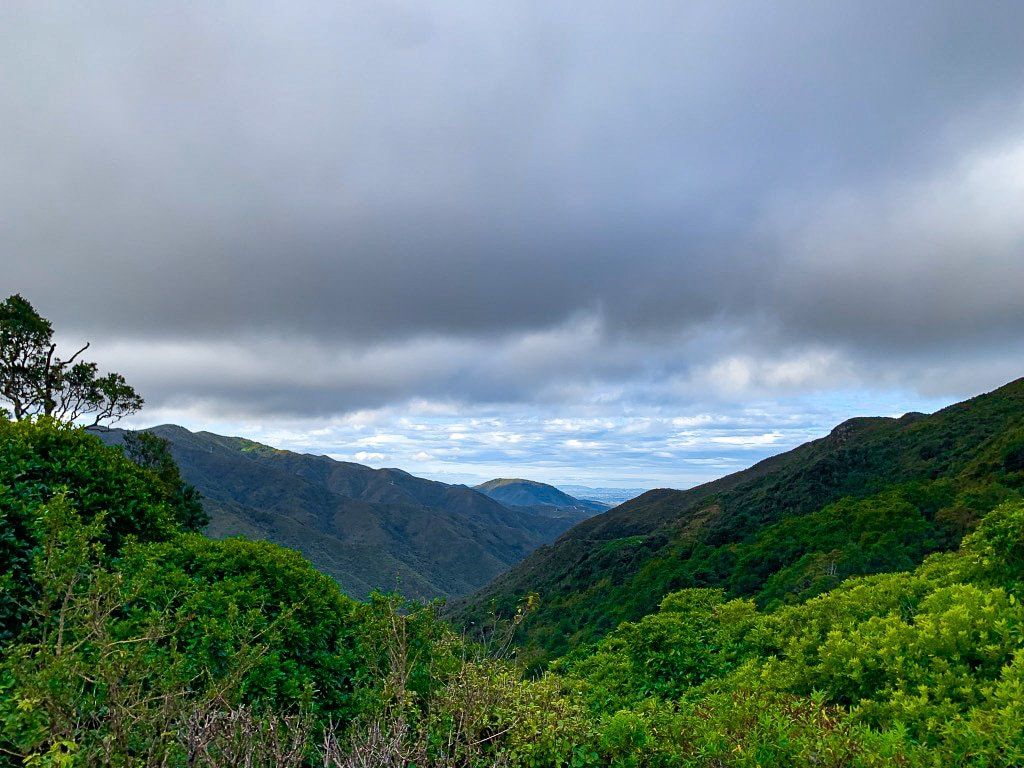 Image 9 of 10