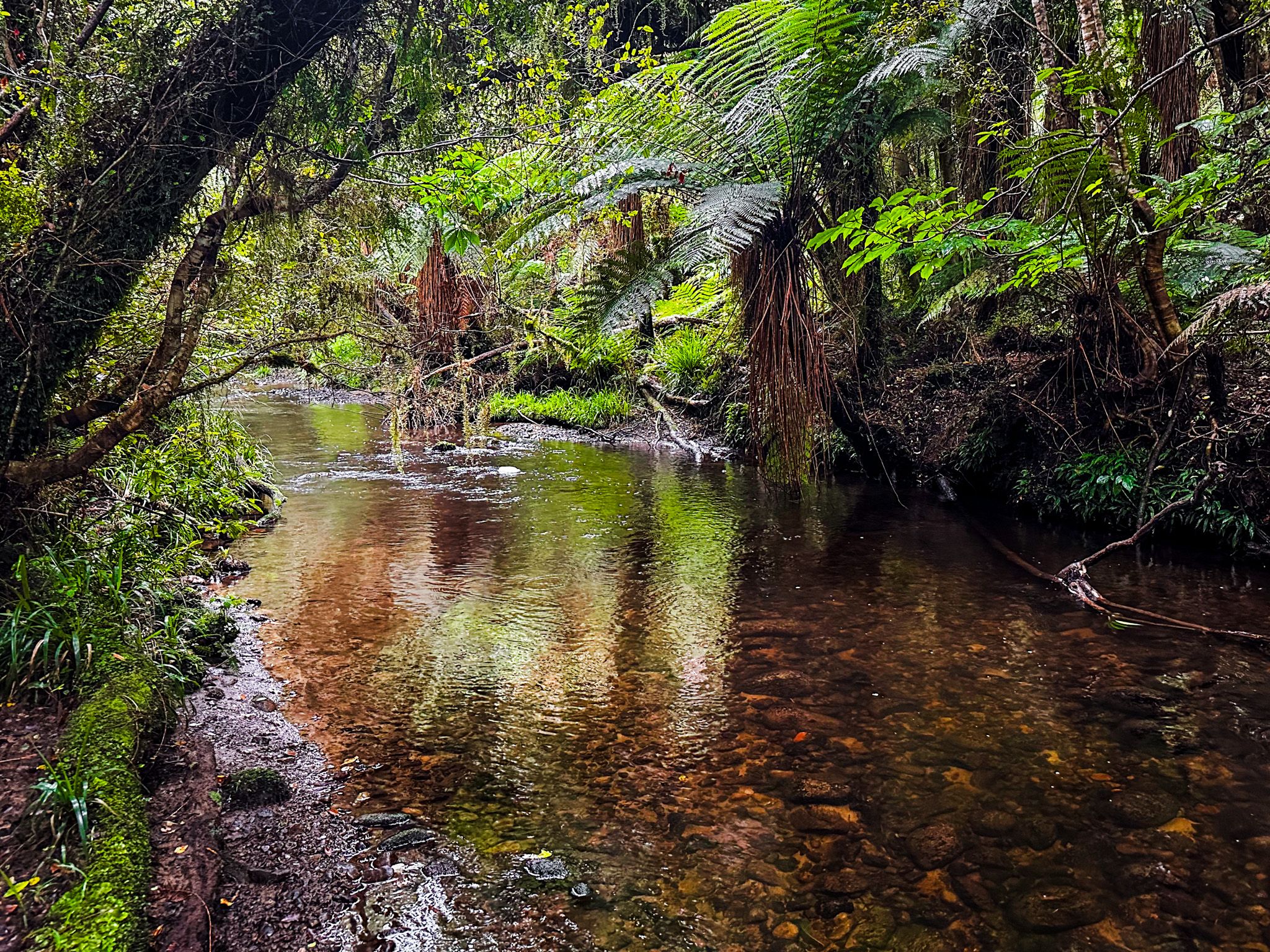Image 5 of 10