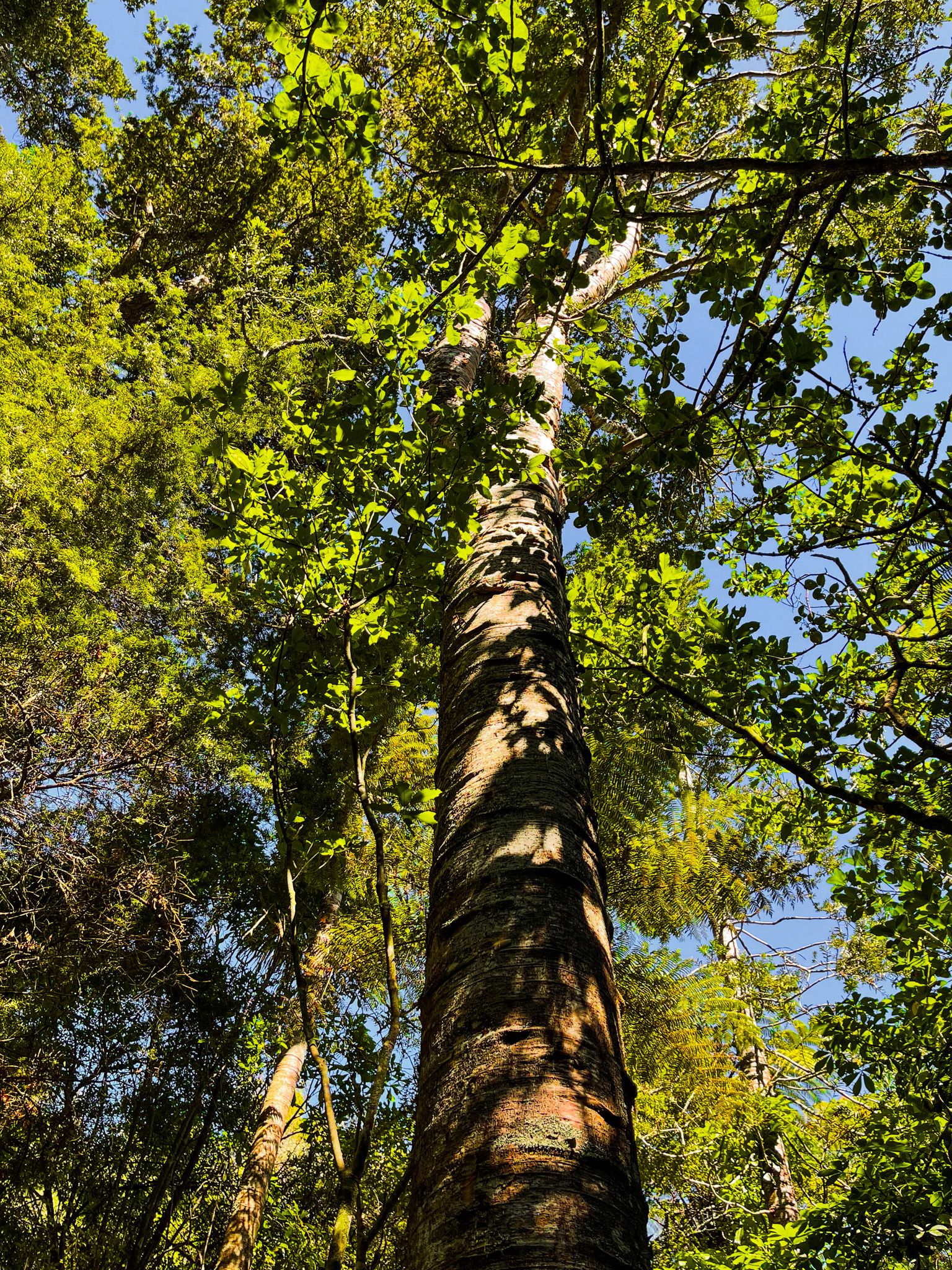 Image 7 of 10