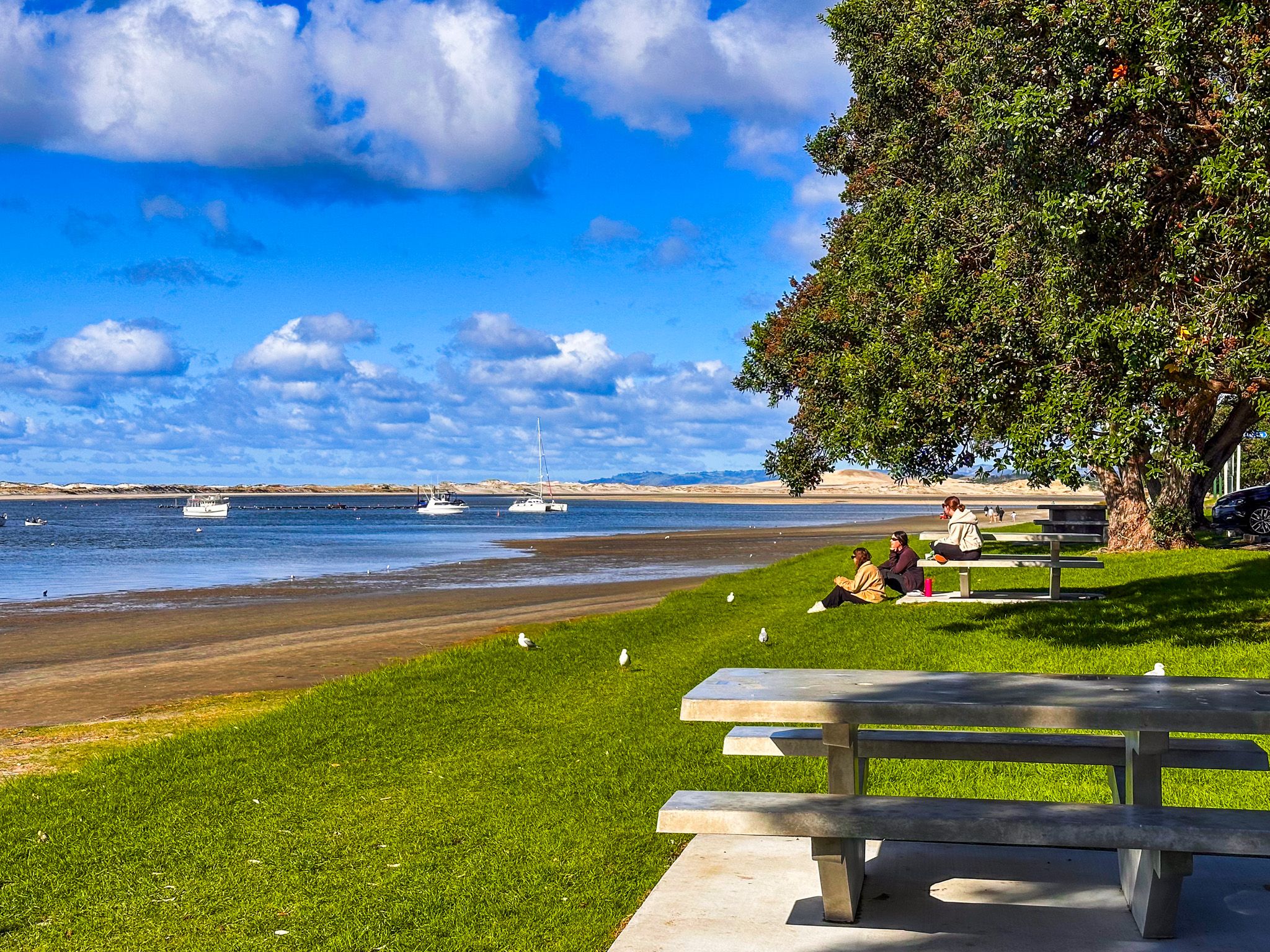 Mangawhai Heads