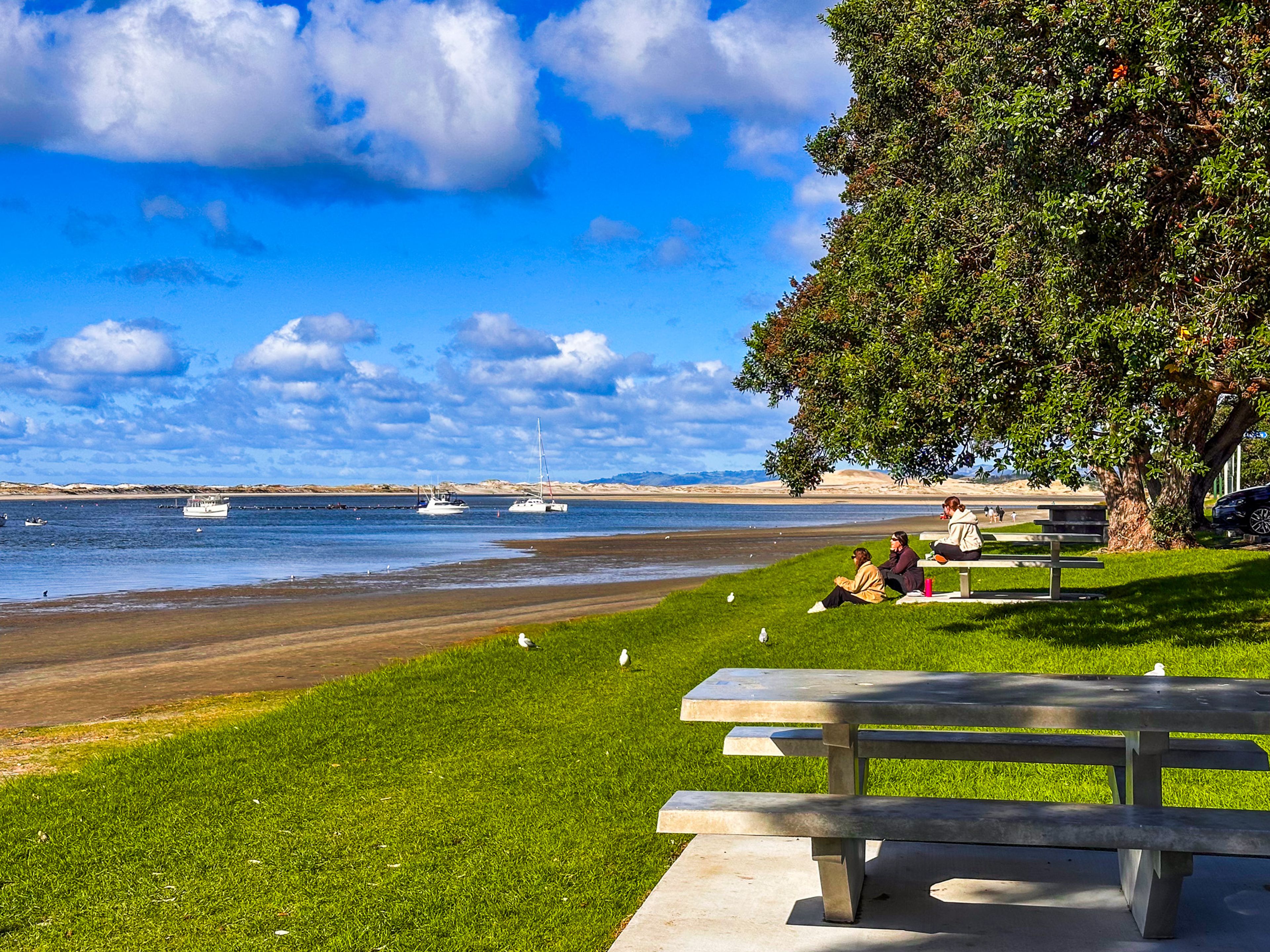 Mangawhai Heads