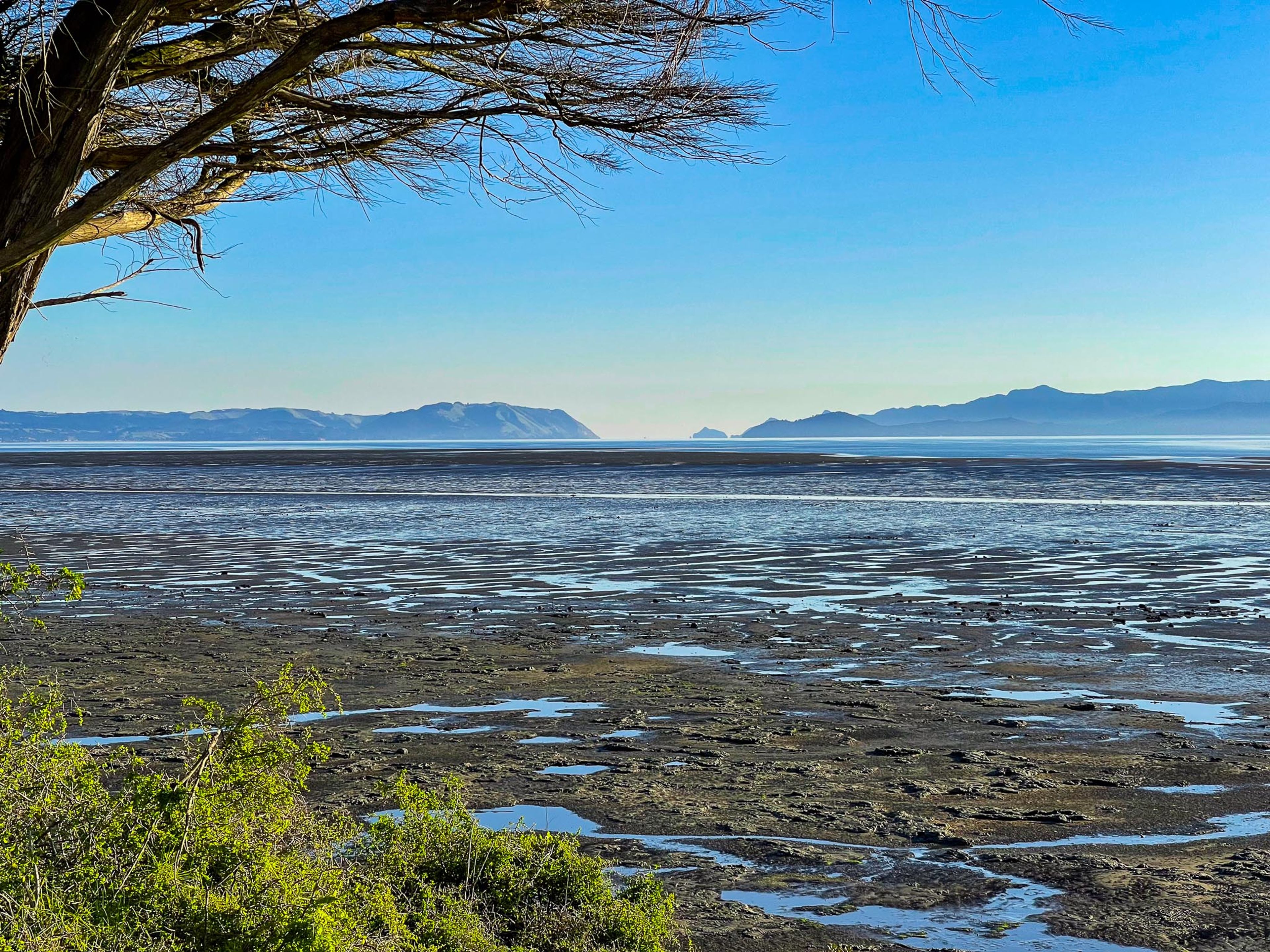Image 7 of 10