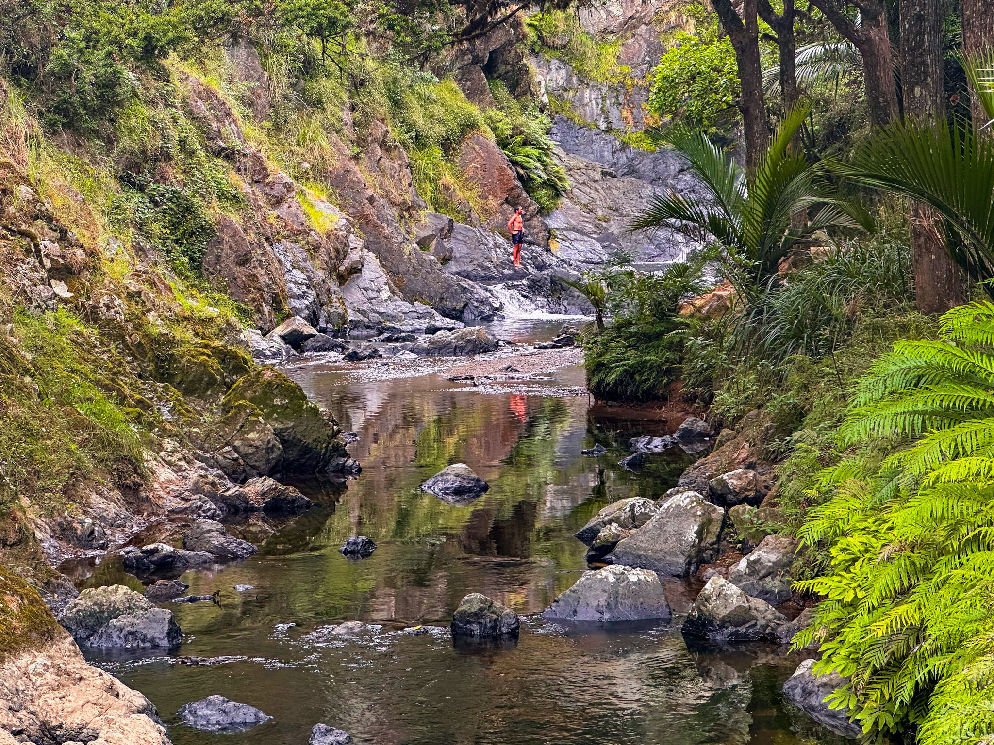 Image 8 of 10