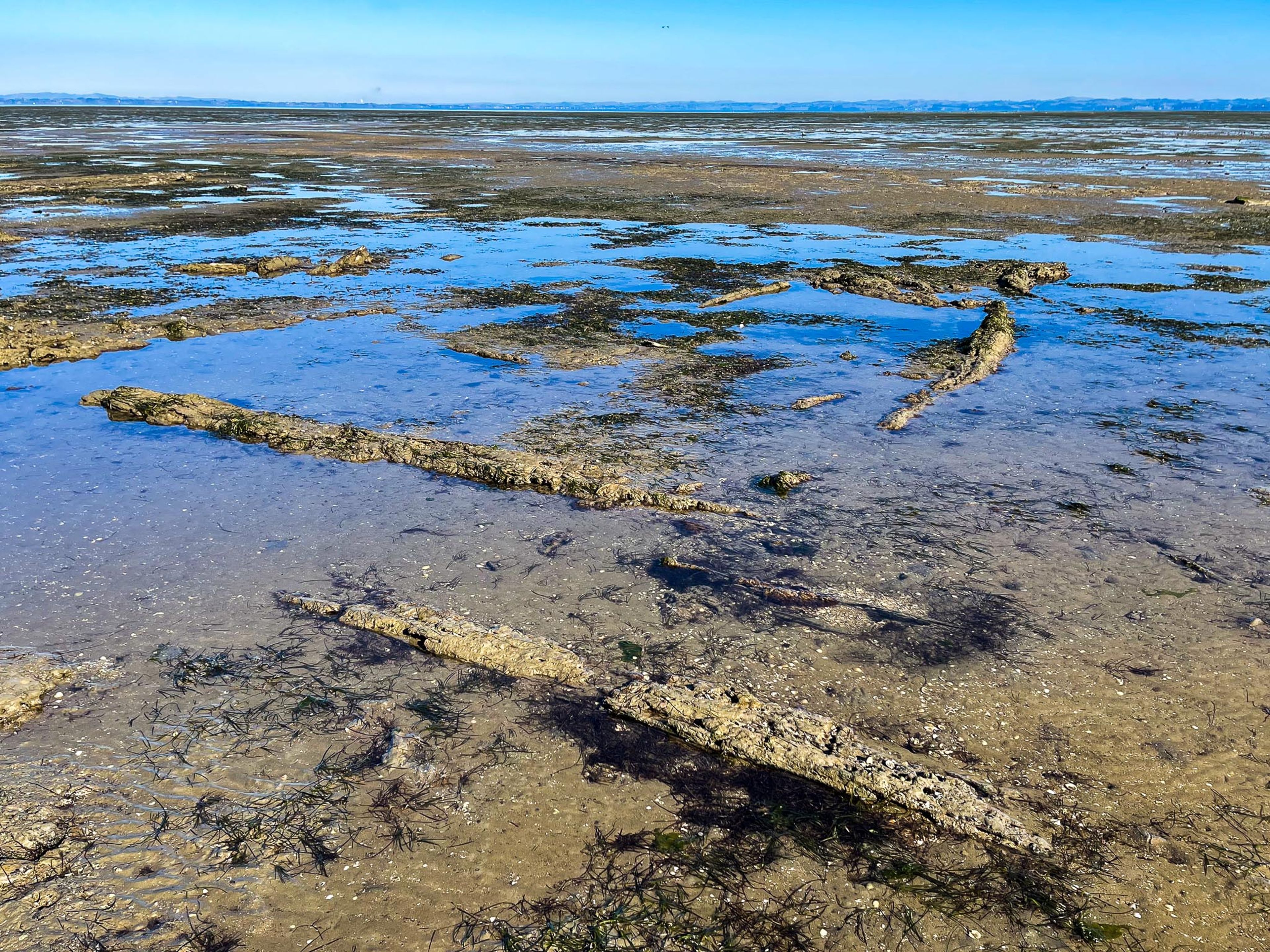 Ō Whata / Renton Beach