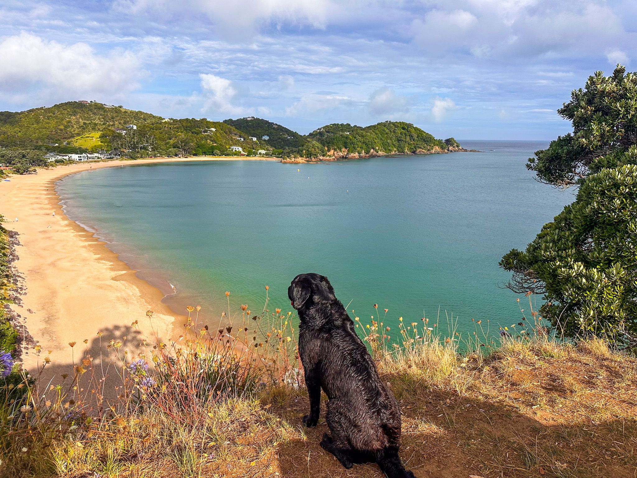 Touring the Tutukākā Coast