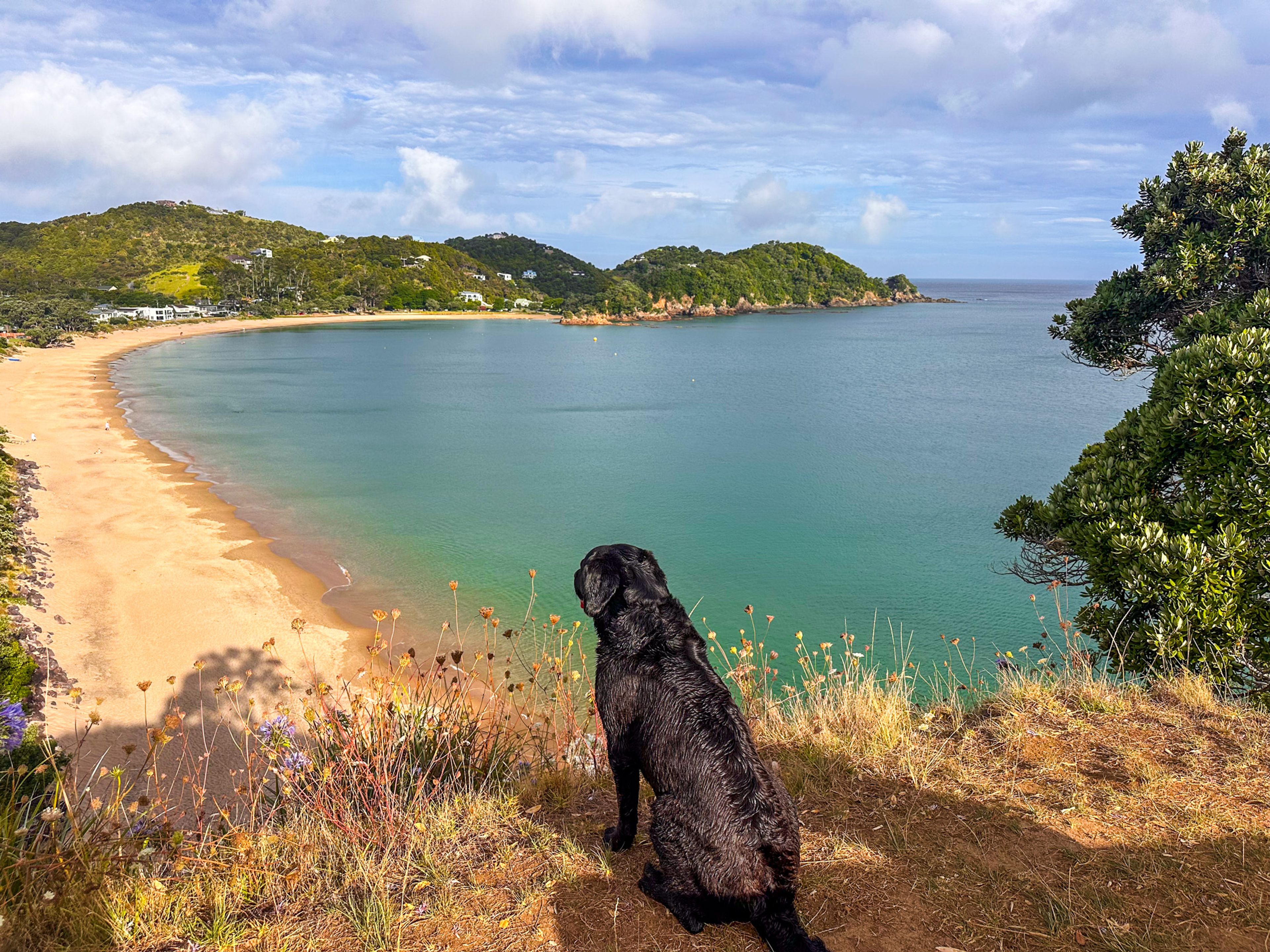Touring the Tutukākā Coast