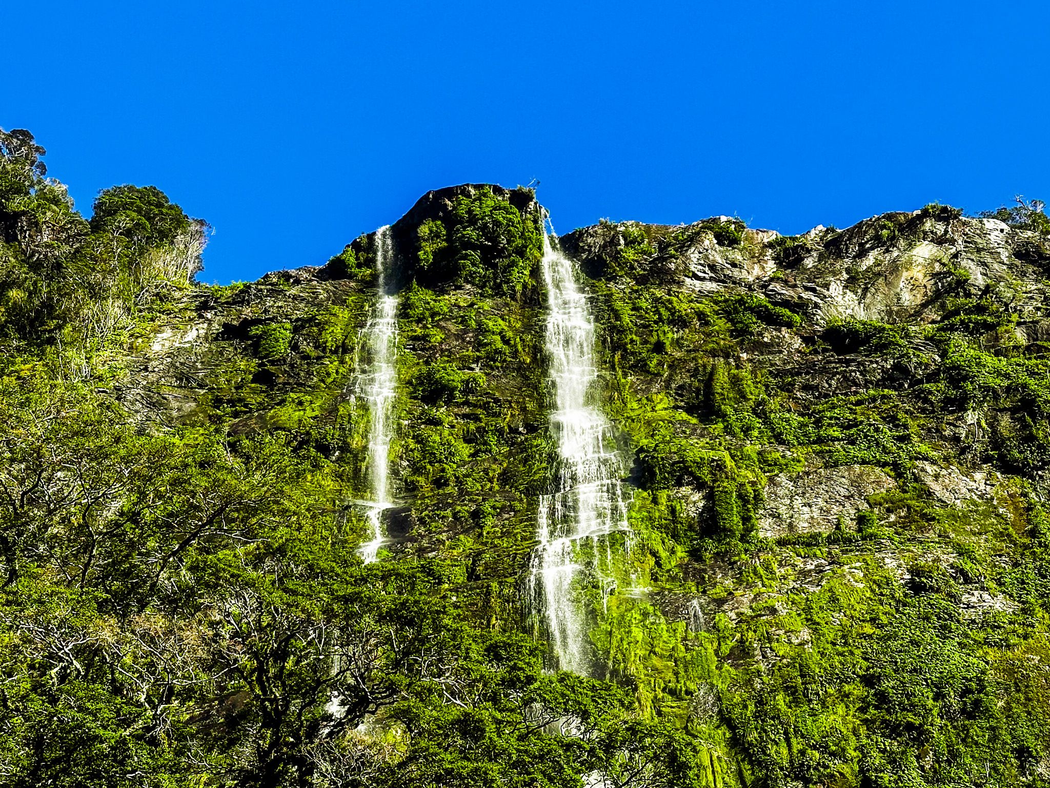 Image 10 of 10