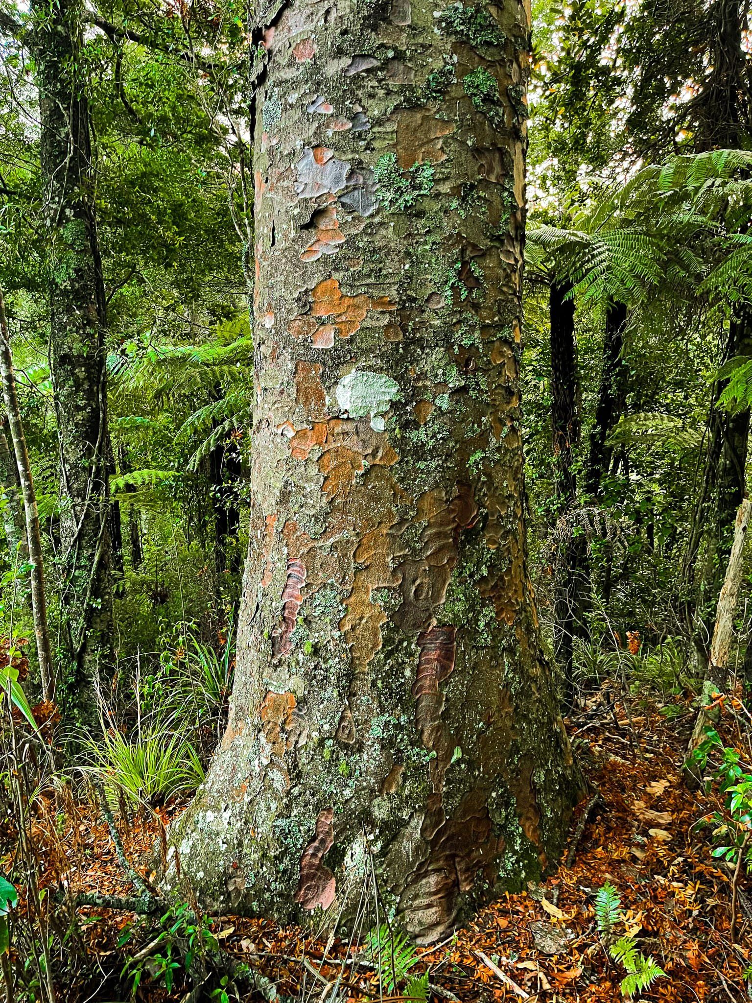 Image 11 of 11