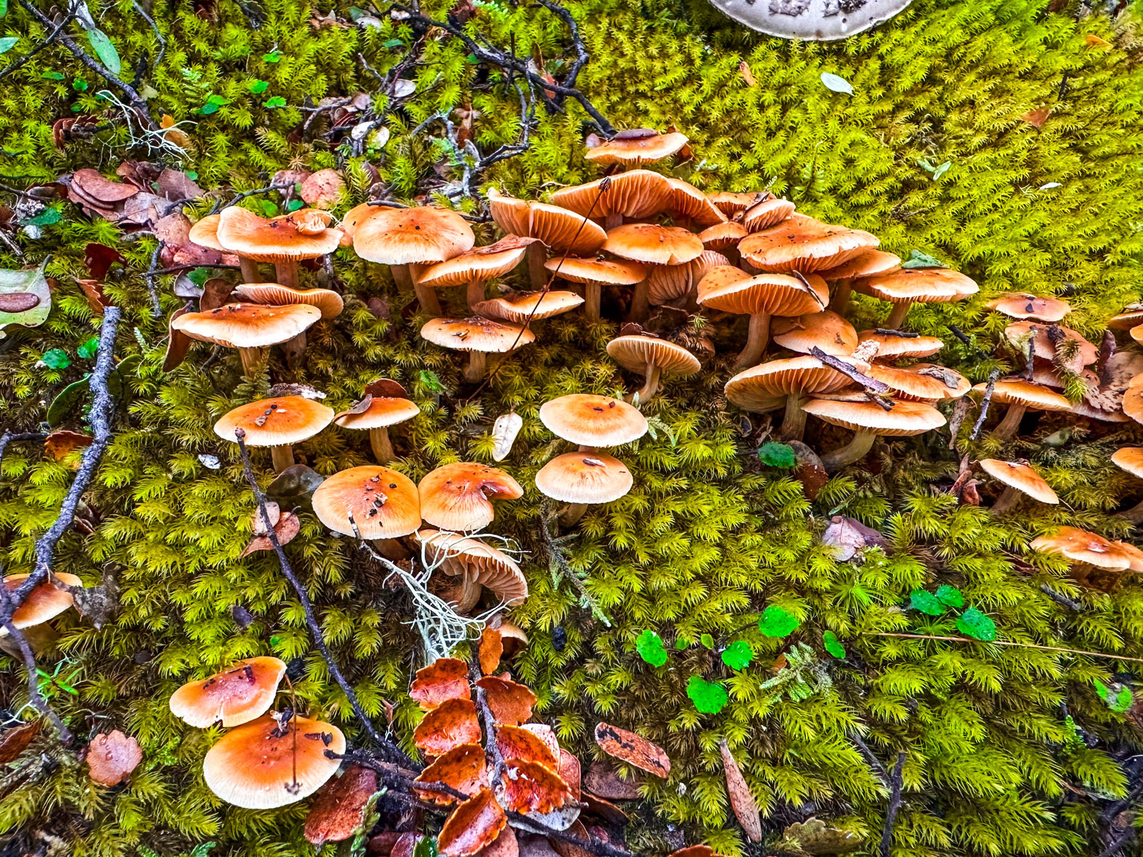 Image 8 of 10