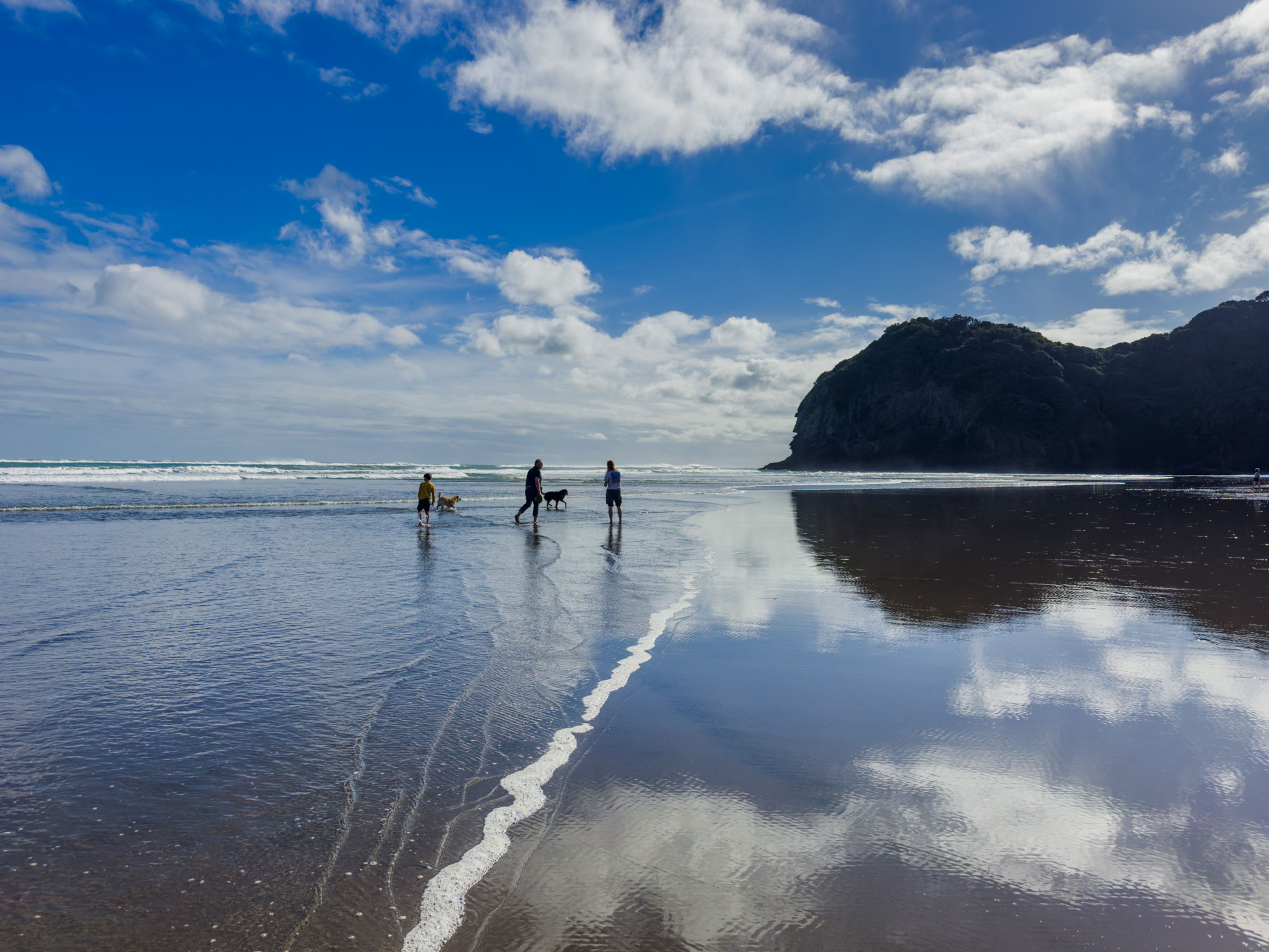 North Piha