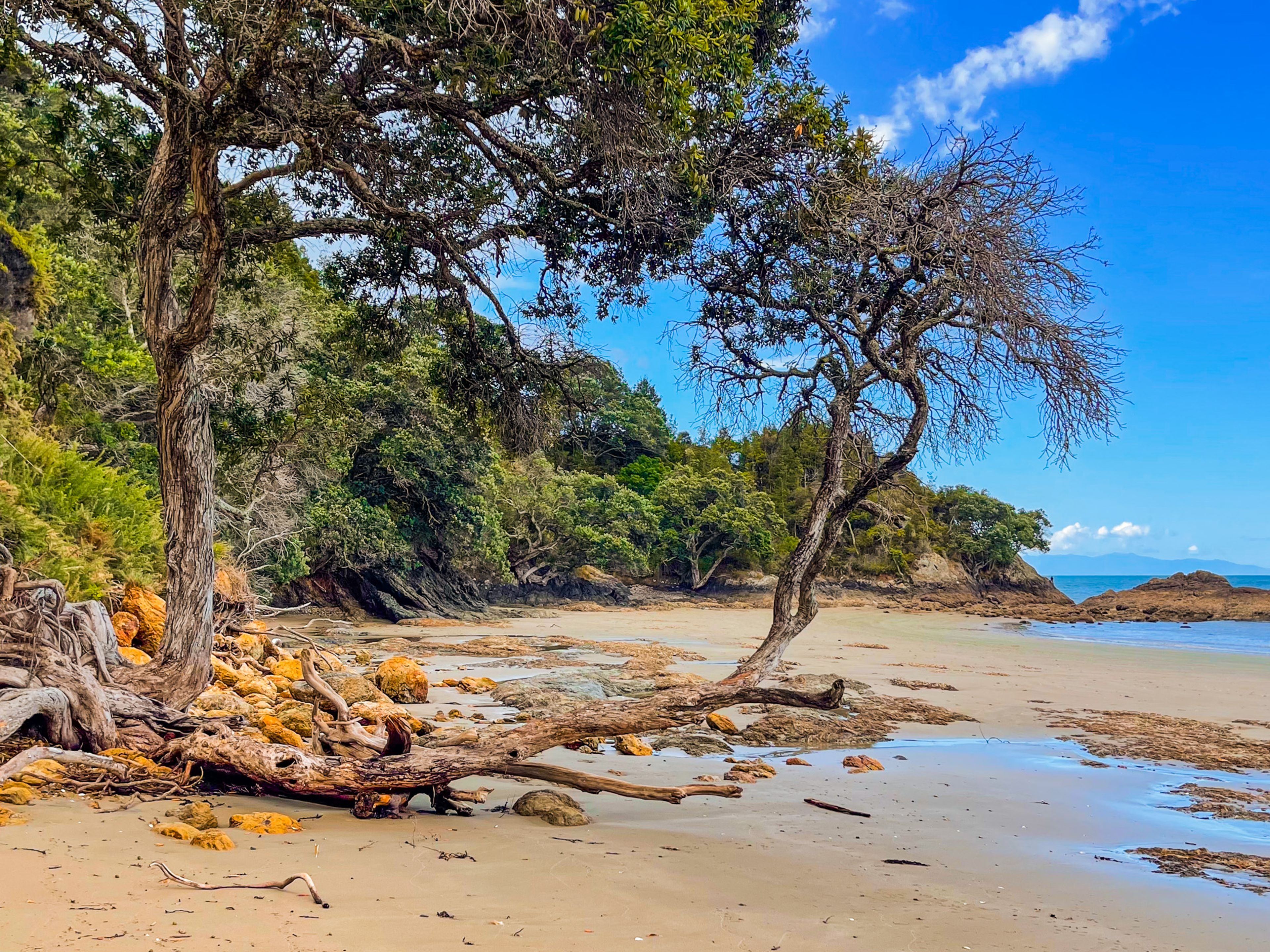 Tawhitokino Beach