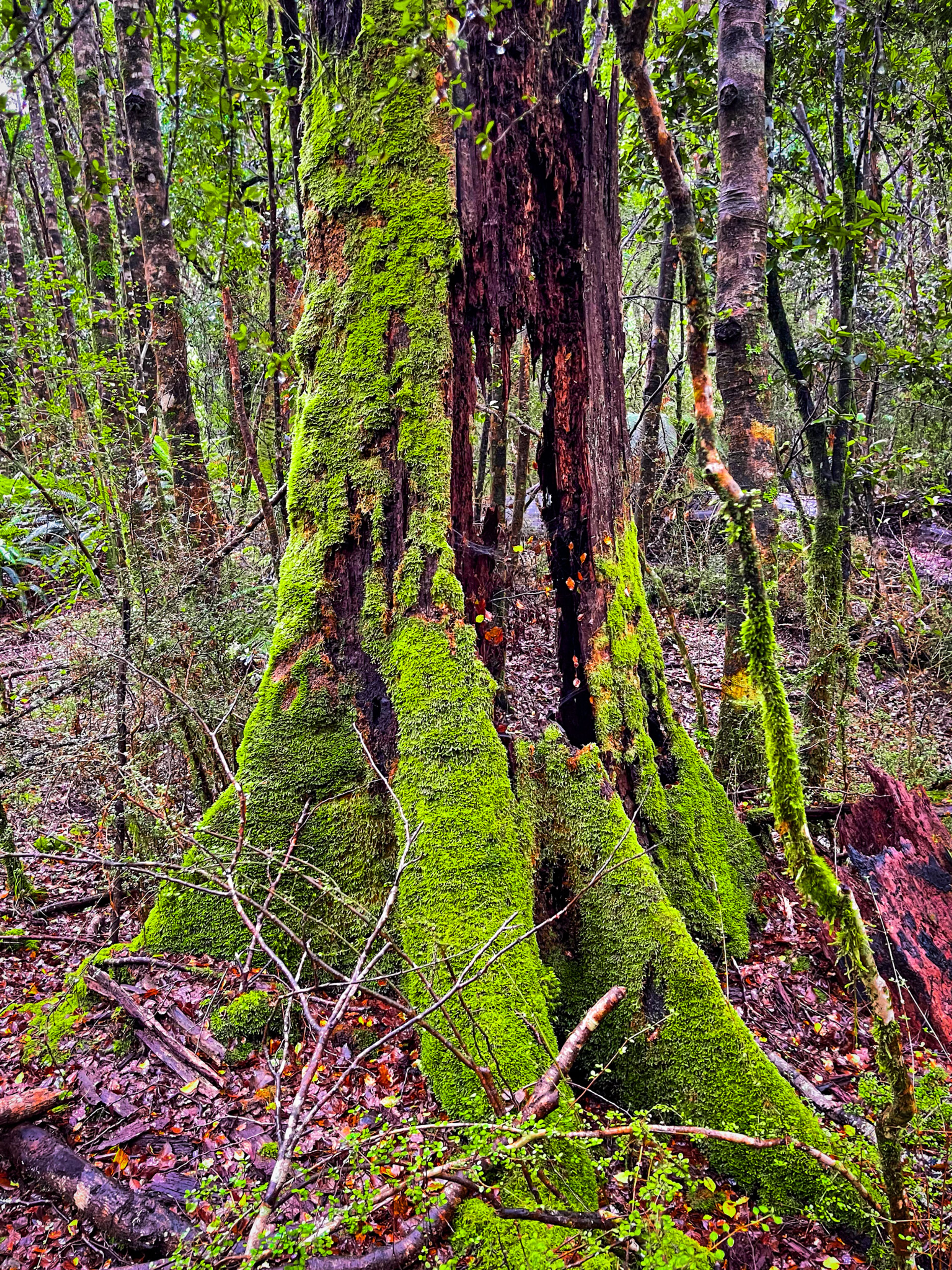 Image 10 of 10