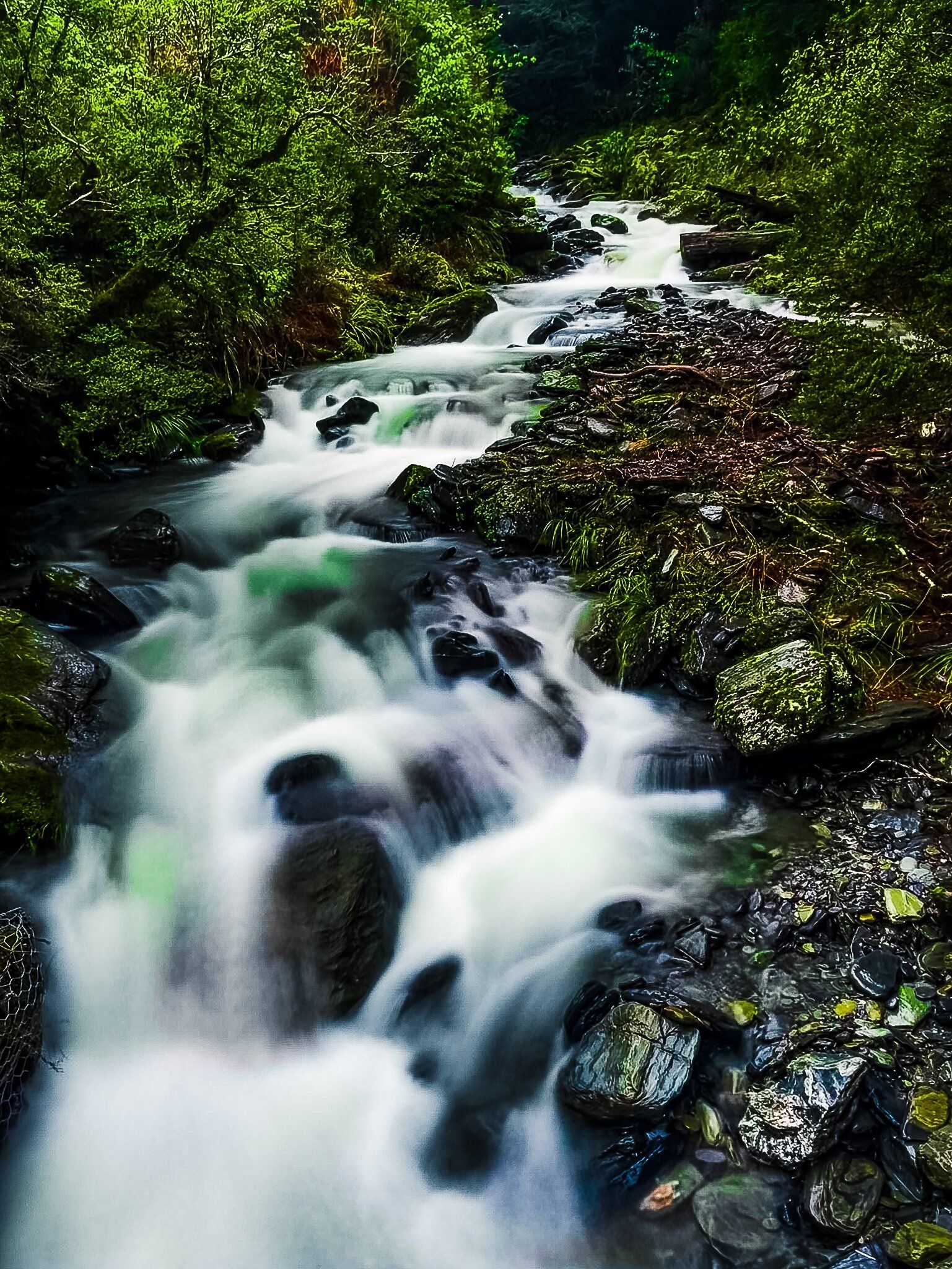 Image 7 of 14