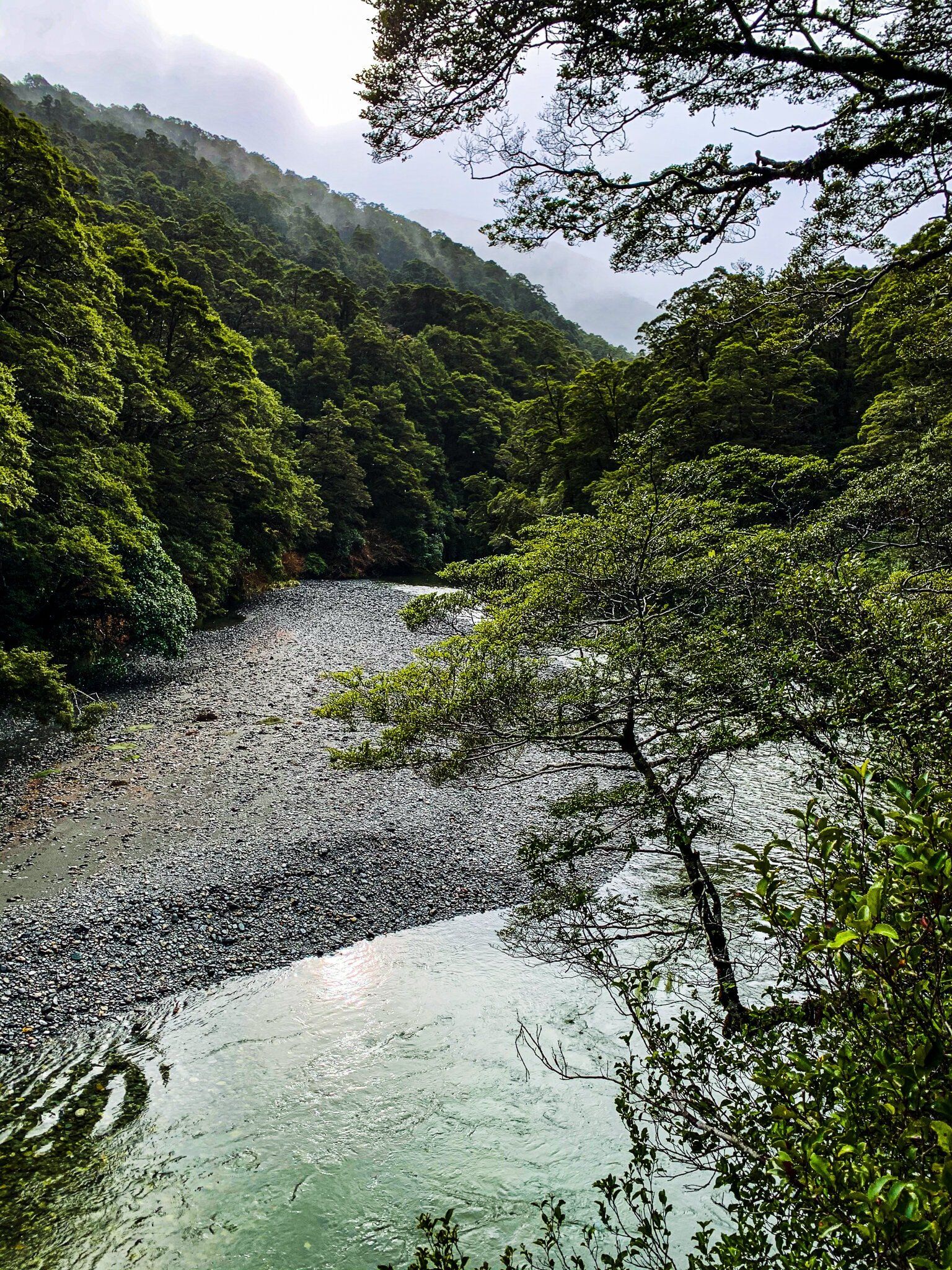 Image 6 of 9