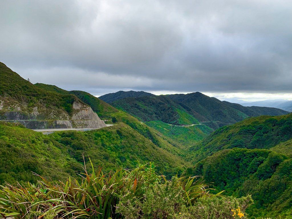 Remutaka Lookout