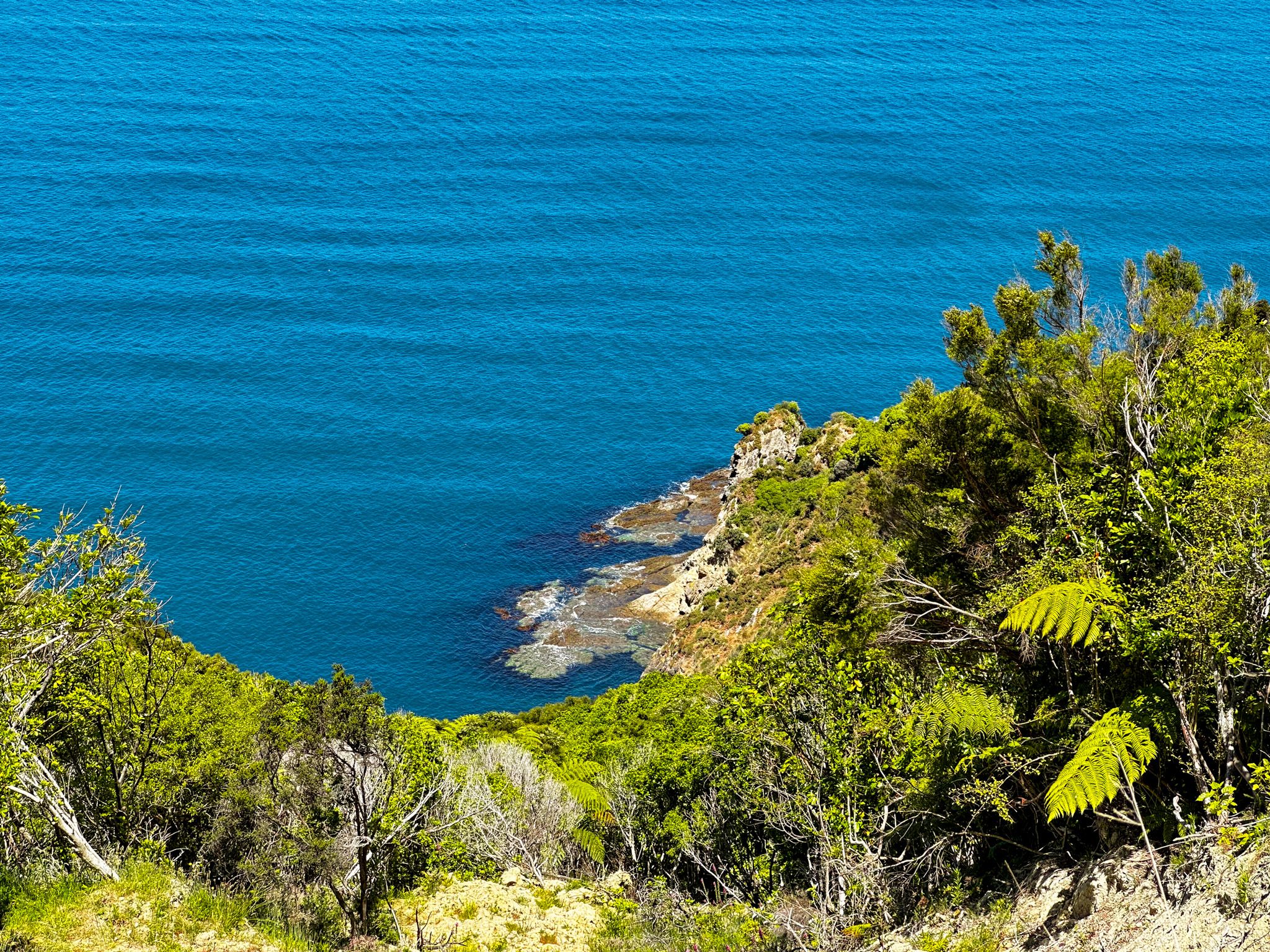 Image 7 of 10