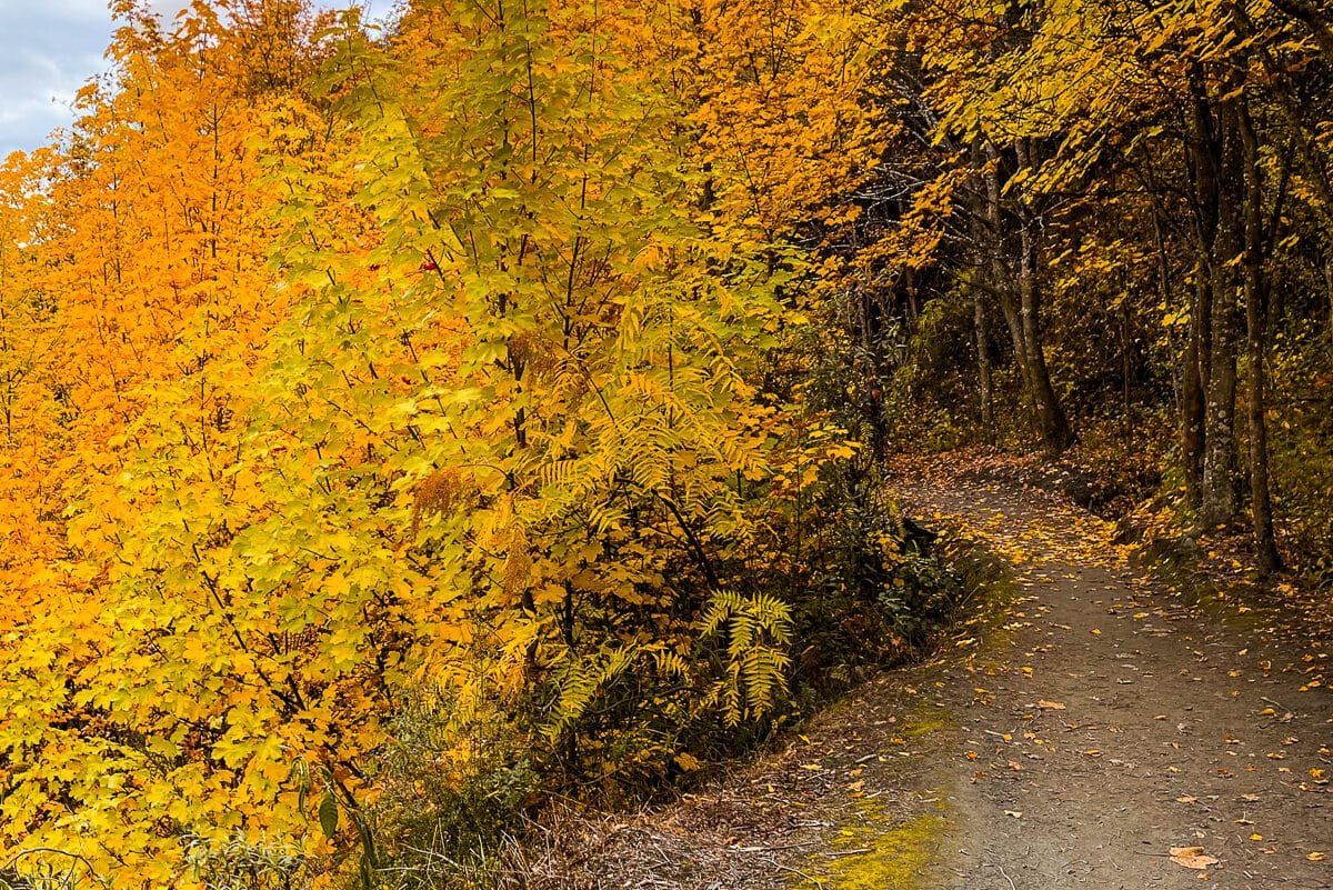 Central Otago in autumn