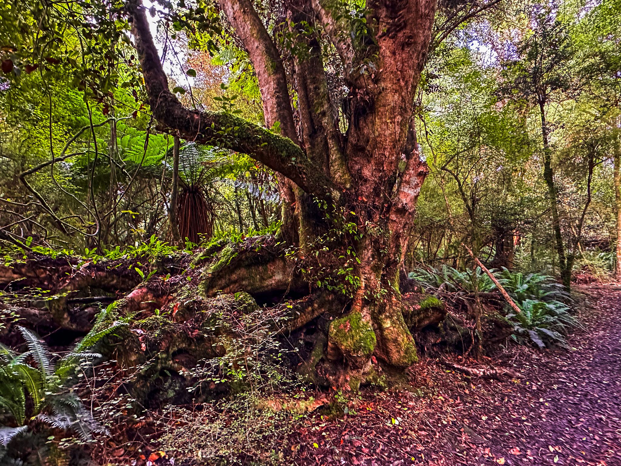 Image 7 of 10