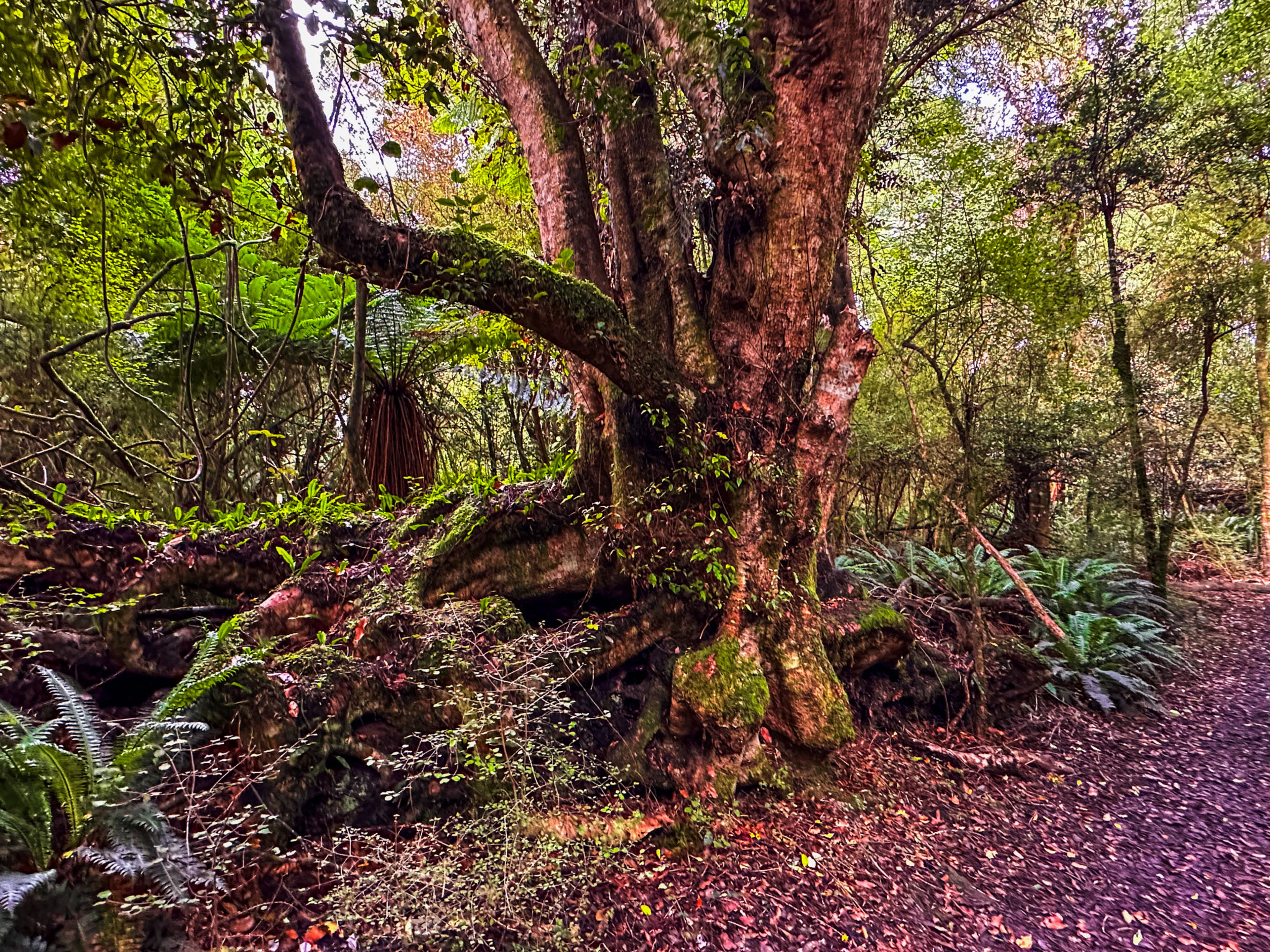 Image 7 of 10