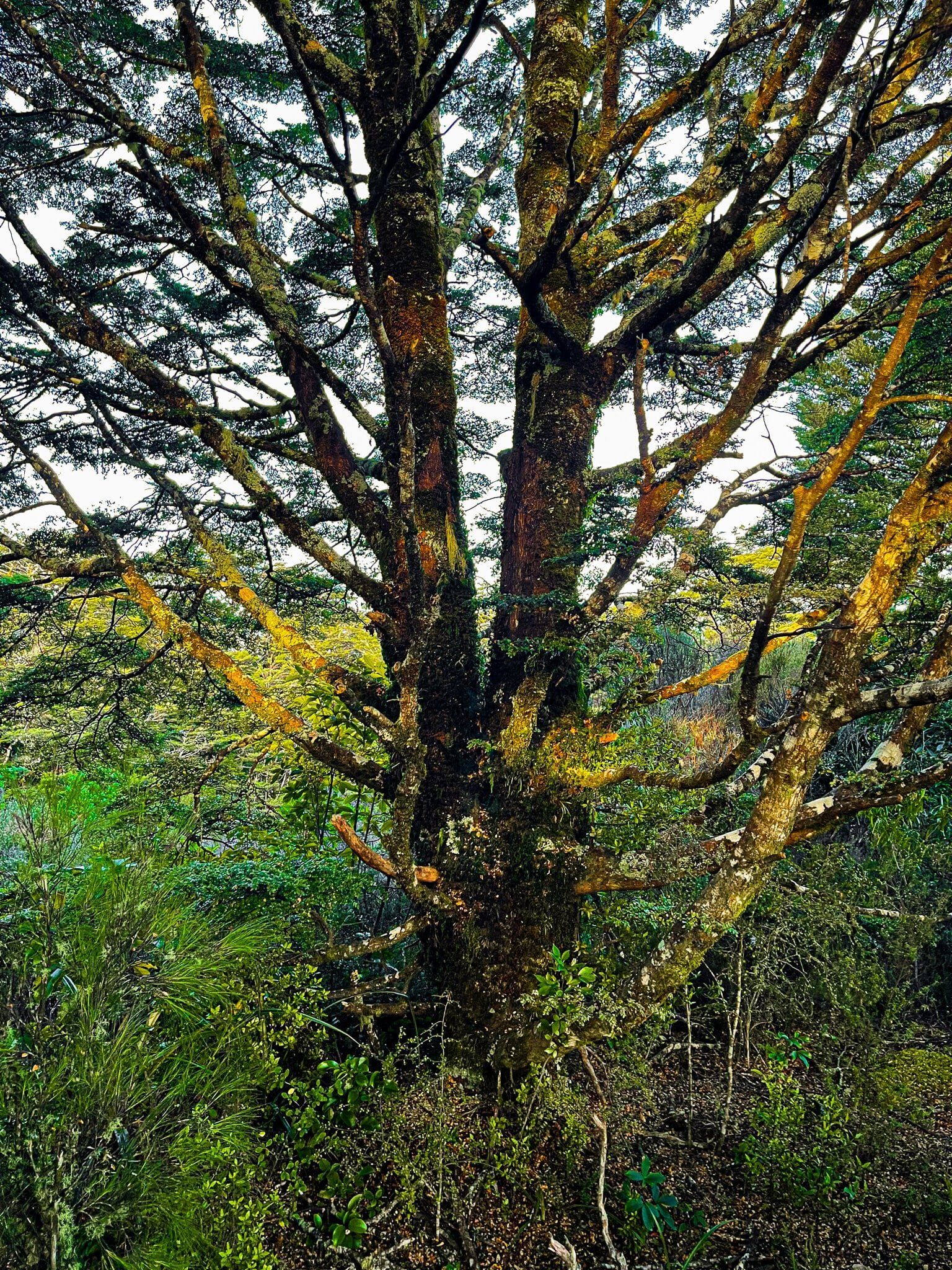 Image 11 of 12