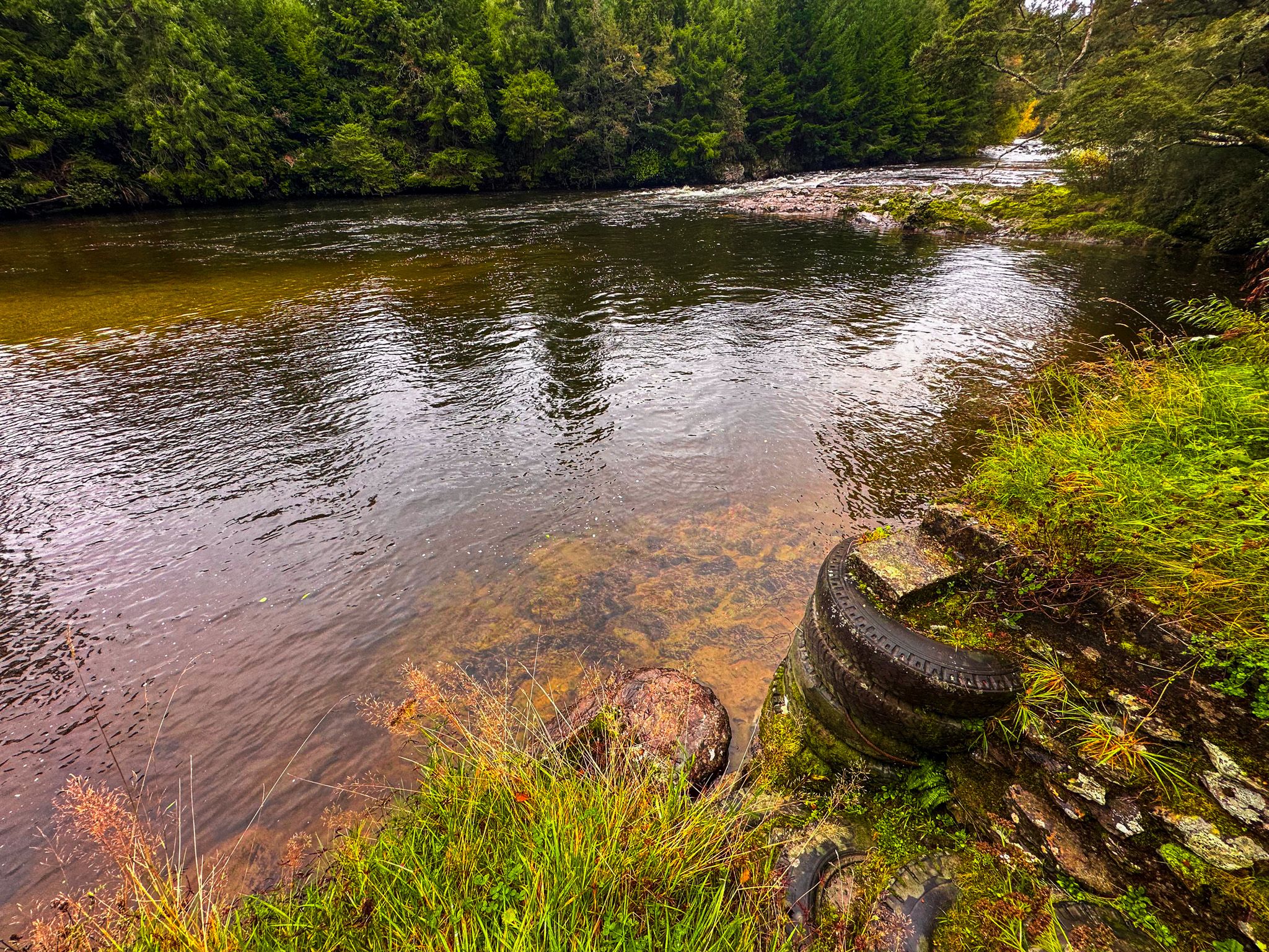 Image 3 of 10