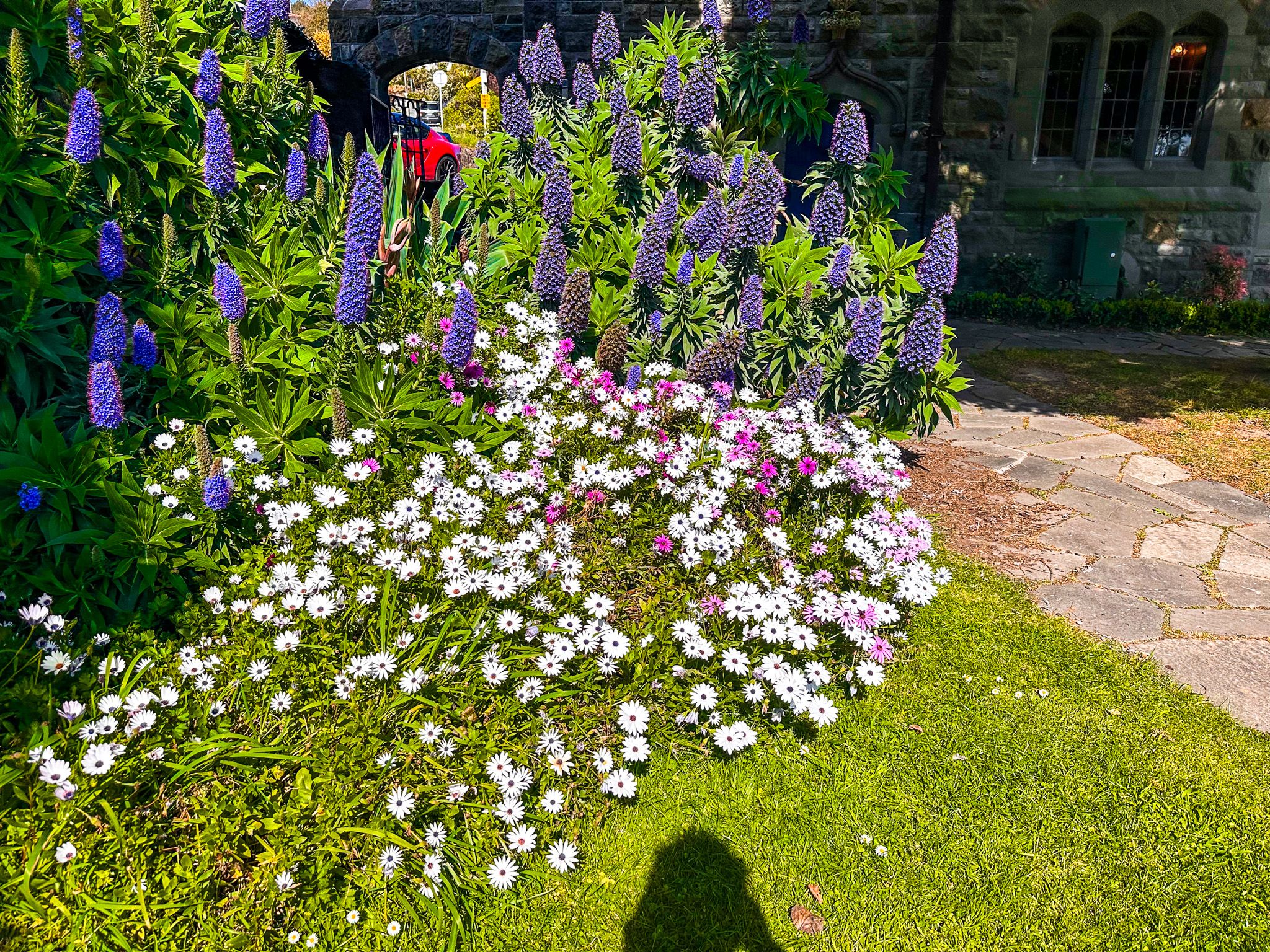 Image 7 of 10