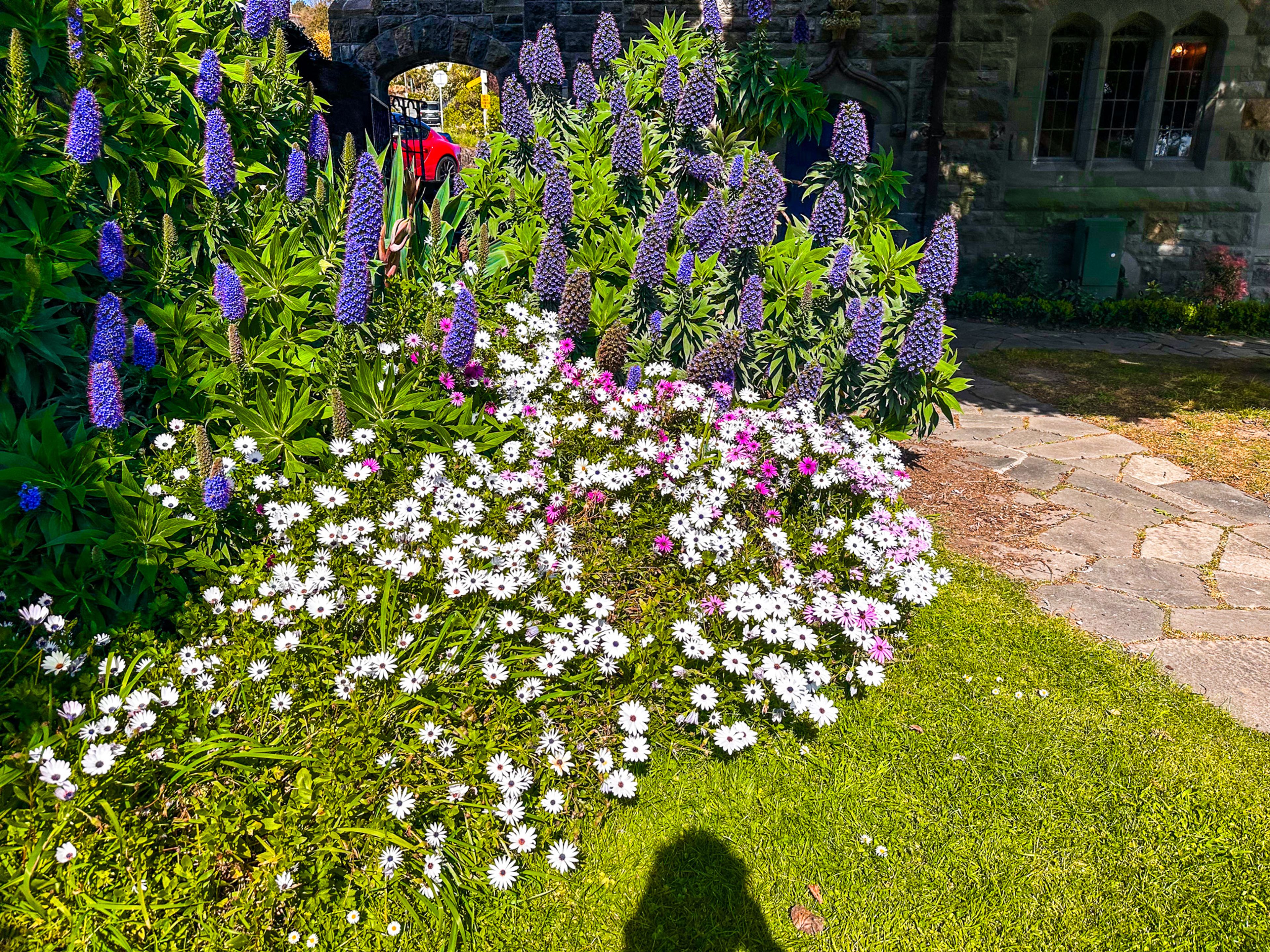 Image 7 of 10