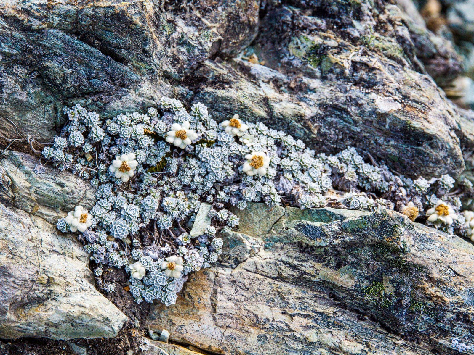 Image 6 of 10