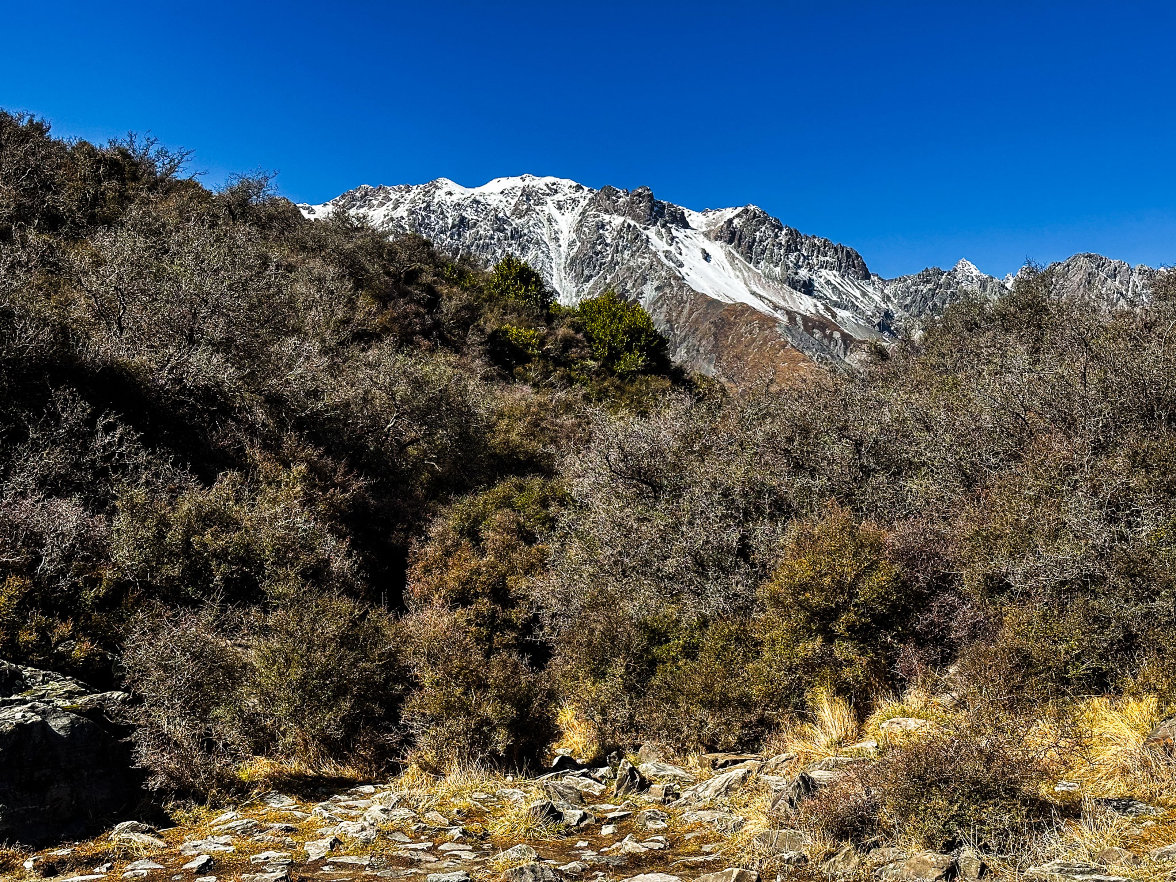 Image 10 of 10