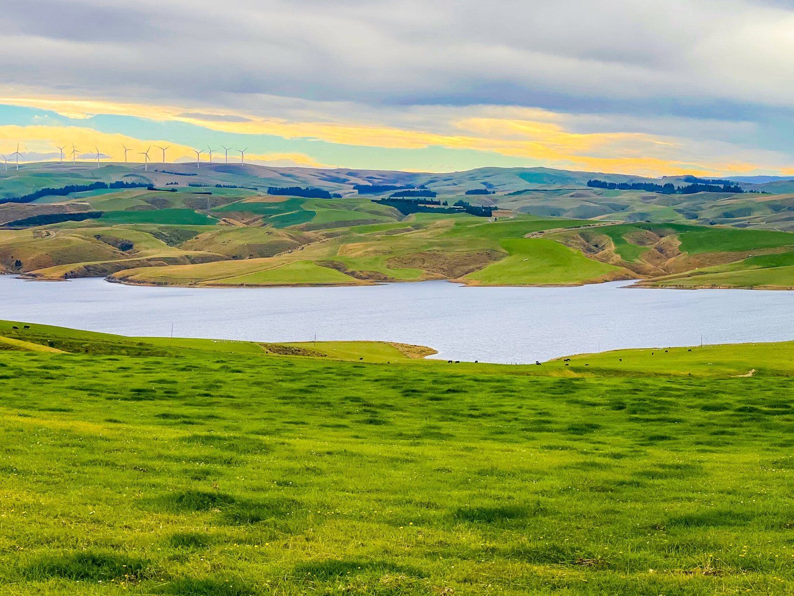 Lake Mahinerangi
