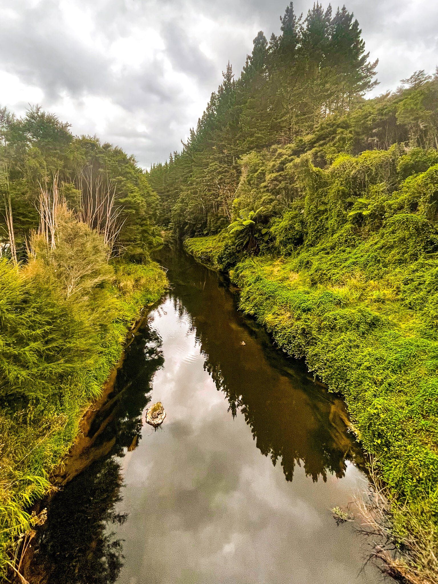 Image 8 of 10