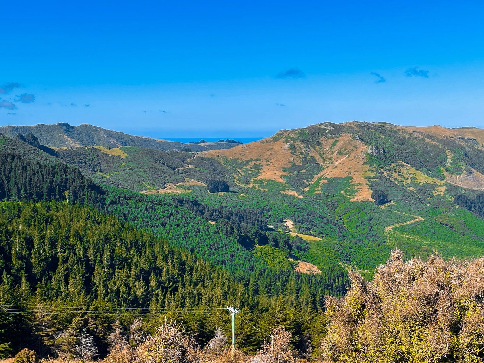 Image 6 of 10