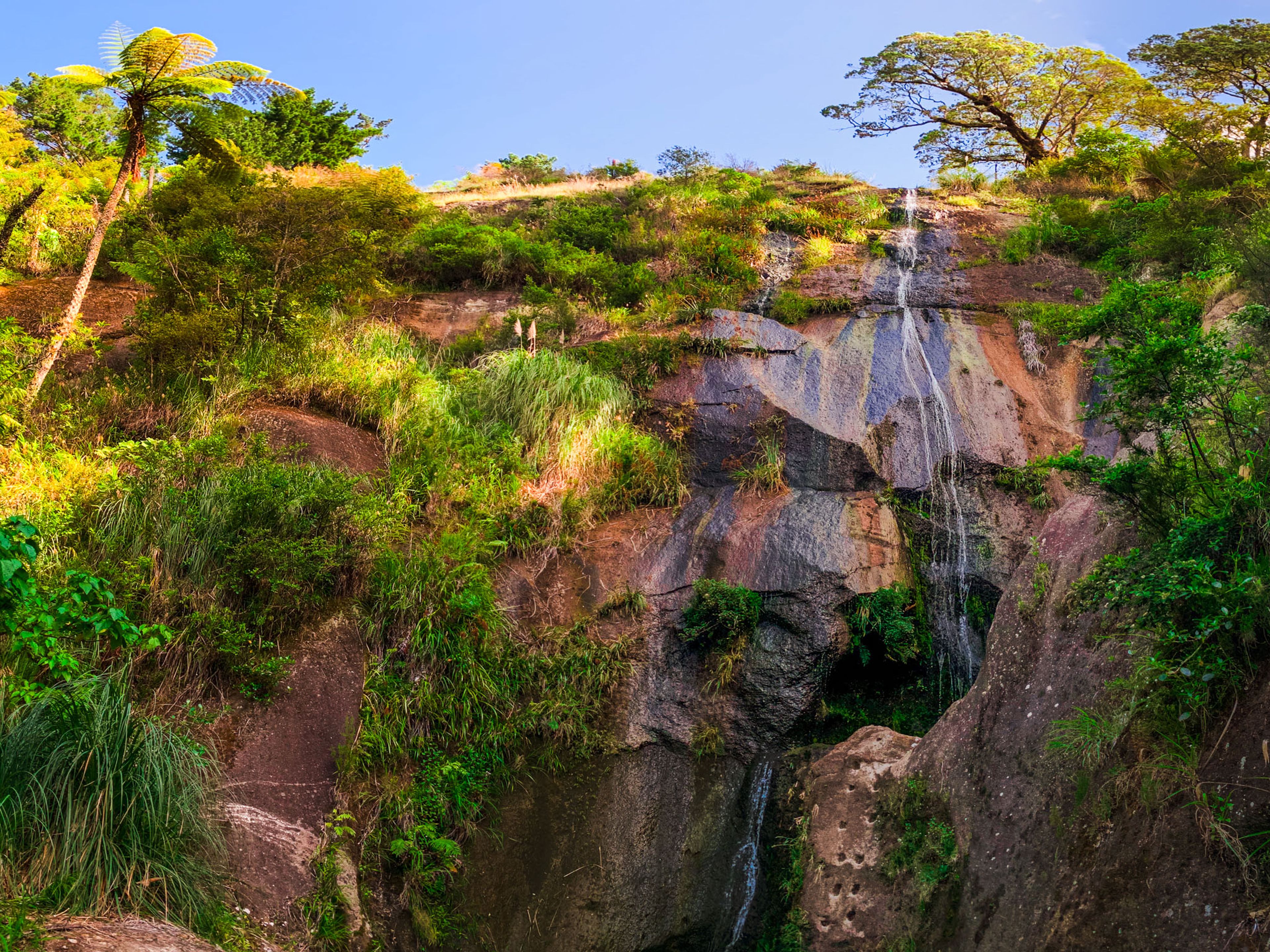 William Wright Falls